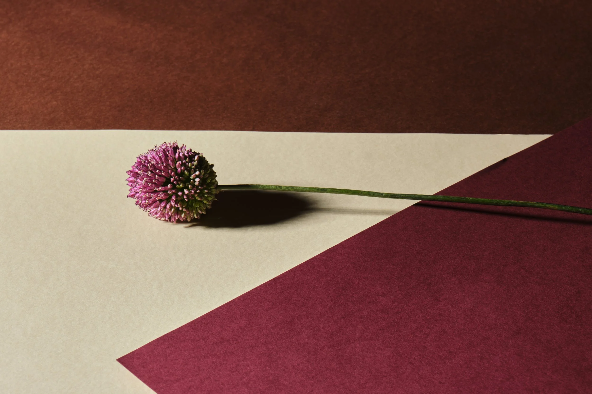 Purple-Flowers_005.jpg