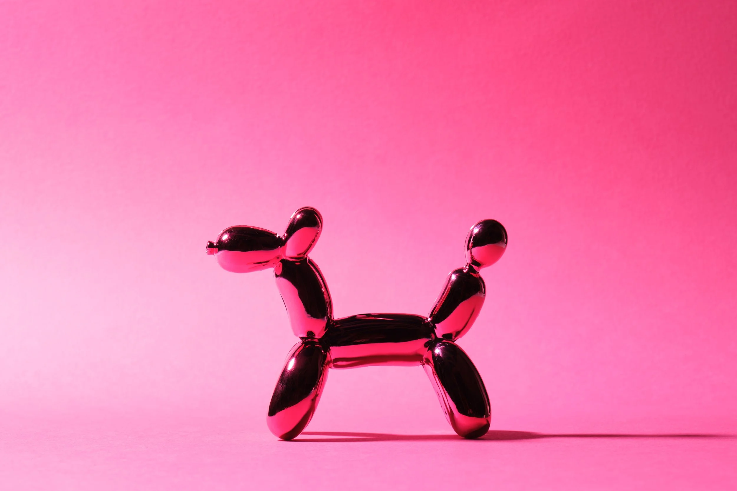 Pink-Dog_029.jpg