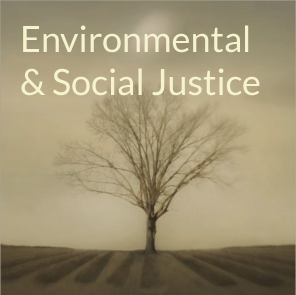 Environmental and Social Justice.png
