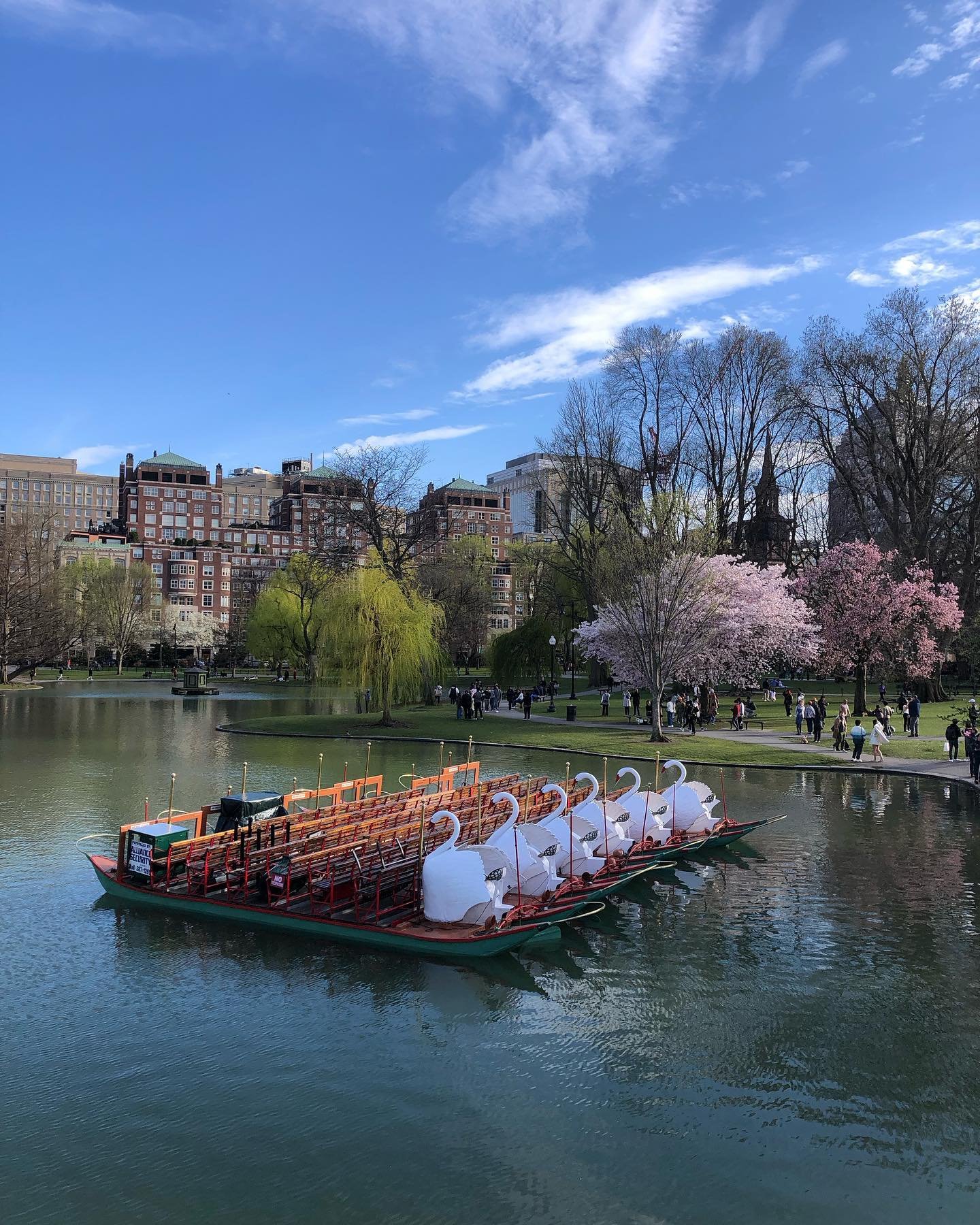 #Boston Common looking picture perfect on this (still a bit chilly) spring day.