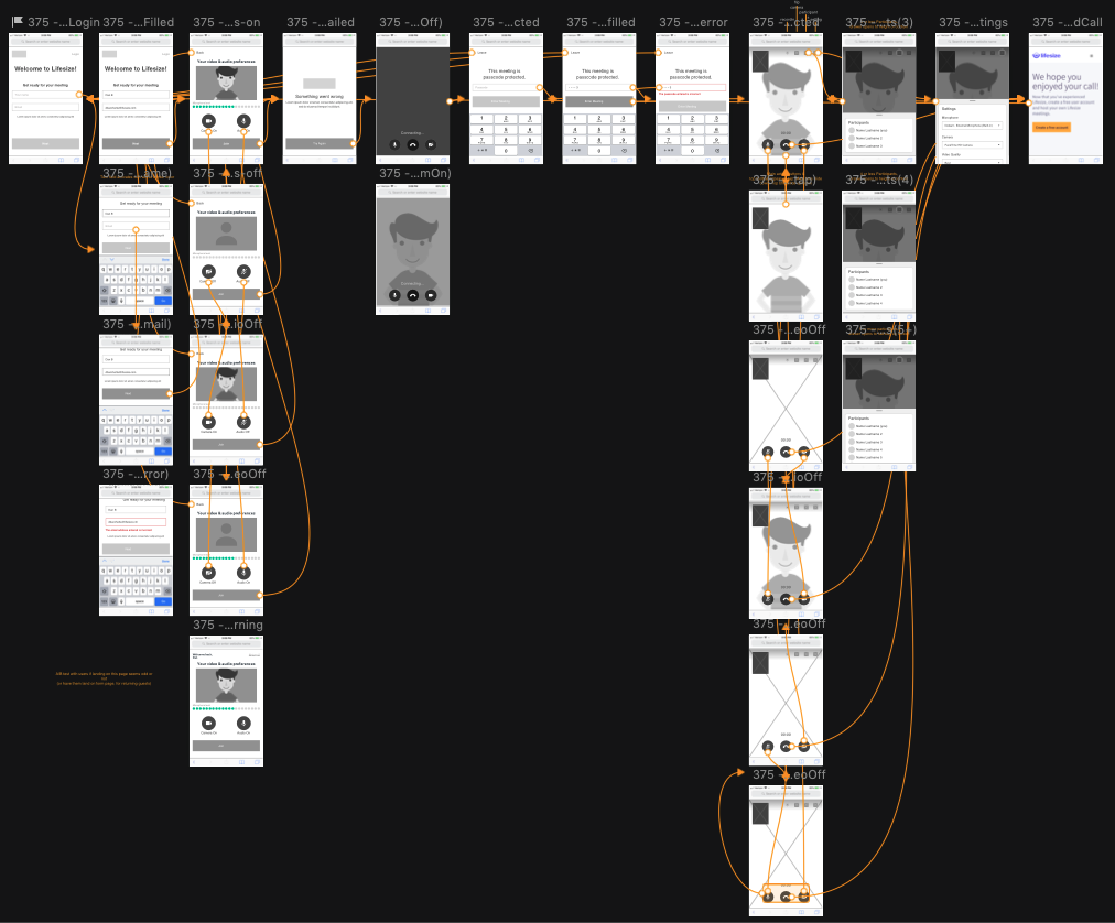 Lifesize Guest — DAN BACCHETTA