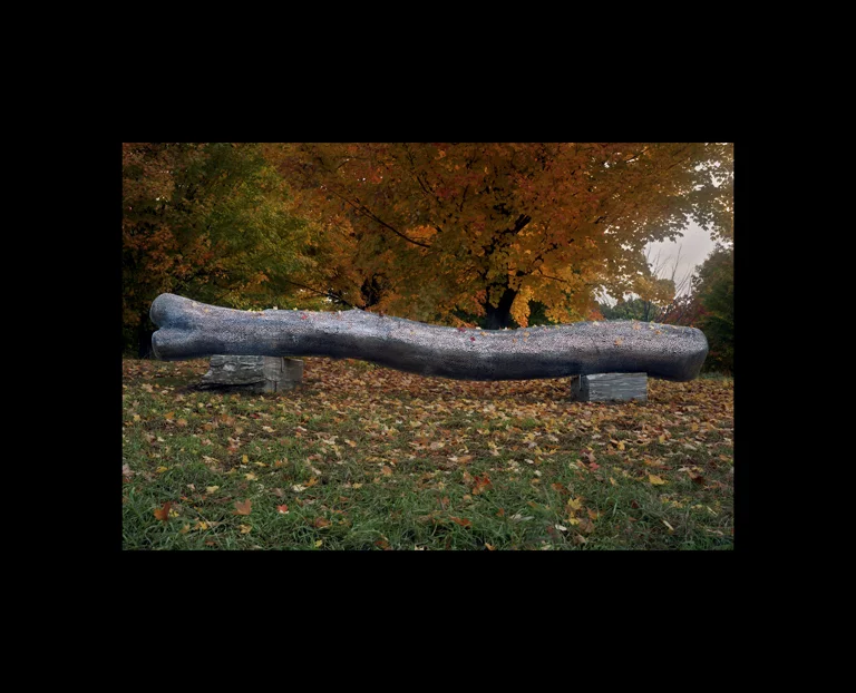 20PG2012Sarcophagus for an Elm.jpg