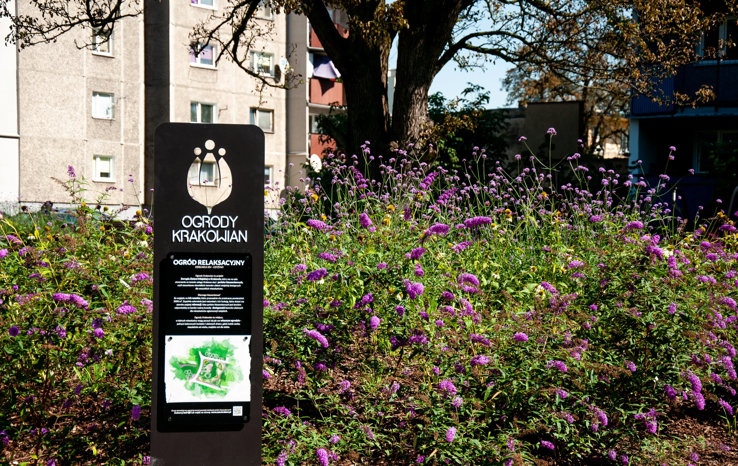 dsc1365.jpg