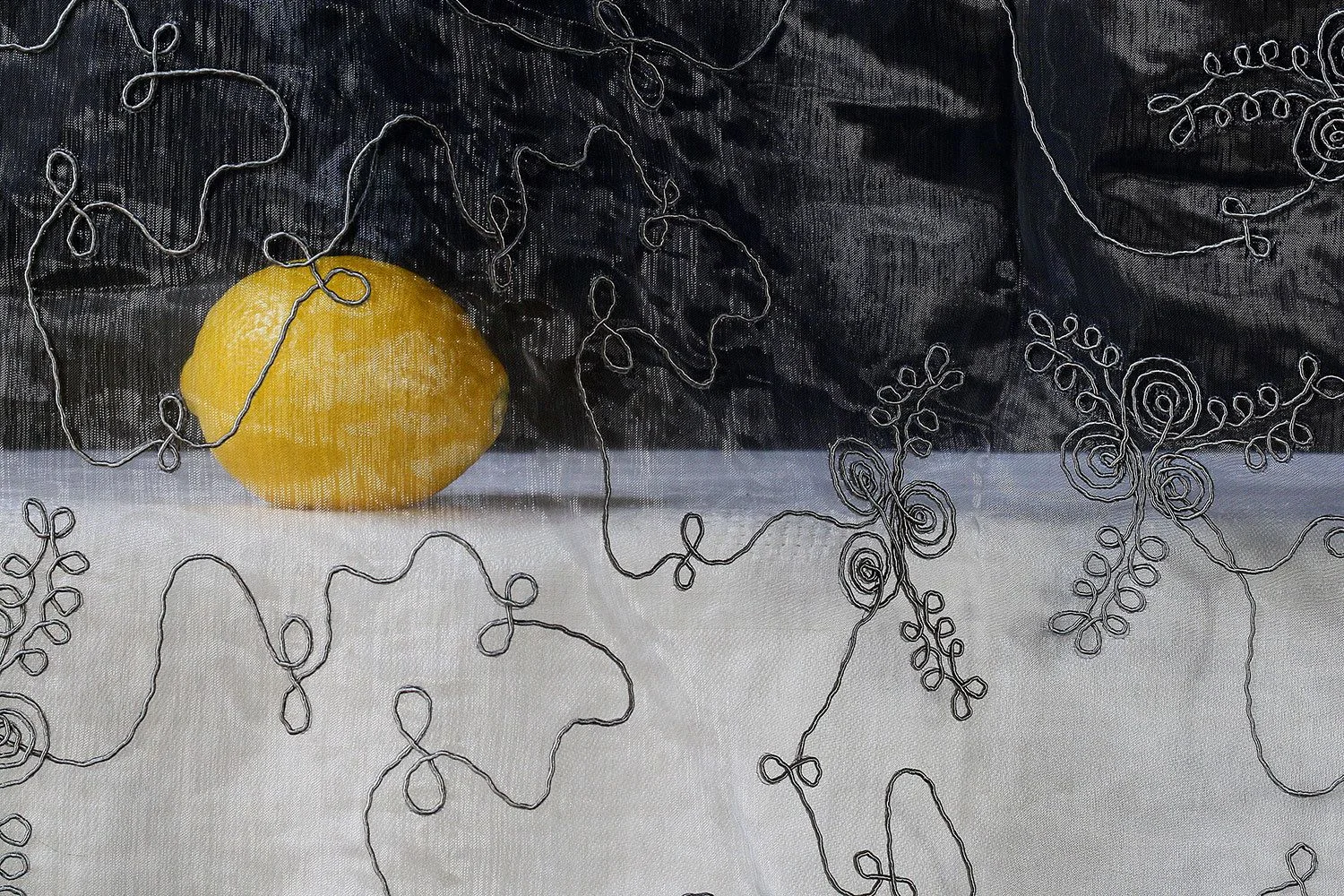 Saskia Boelsom, Lemon, 2013, C-type photograph