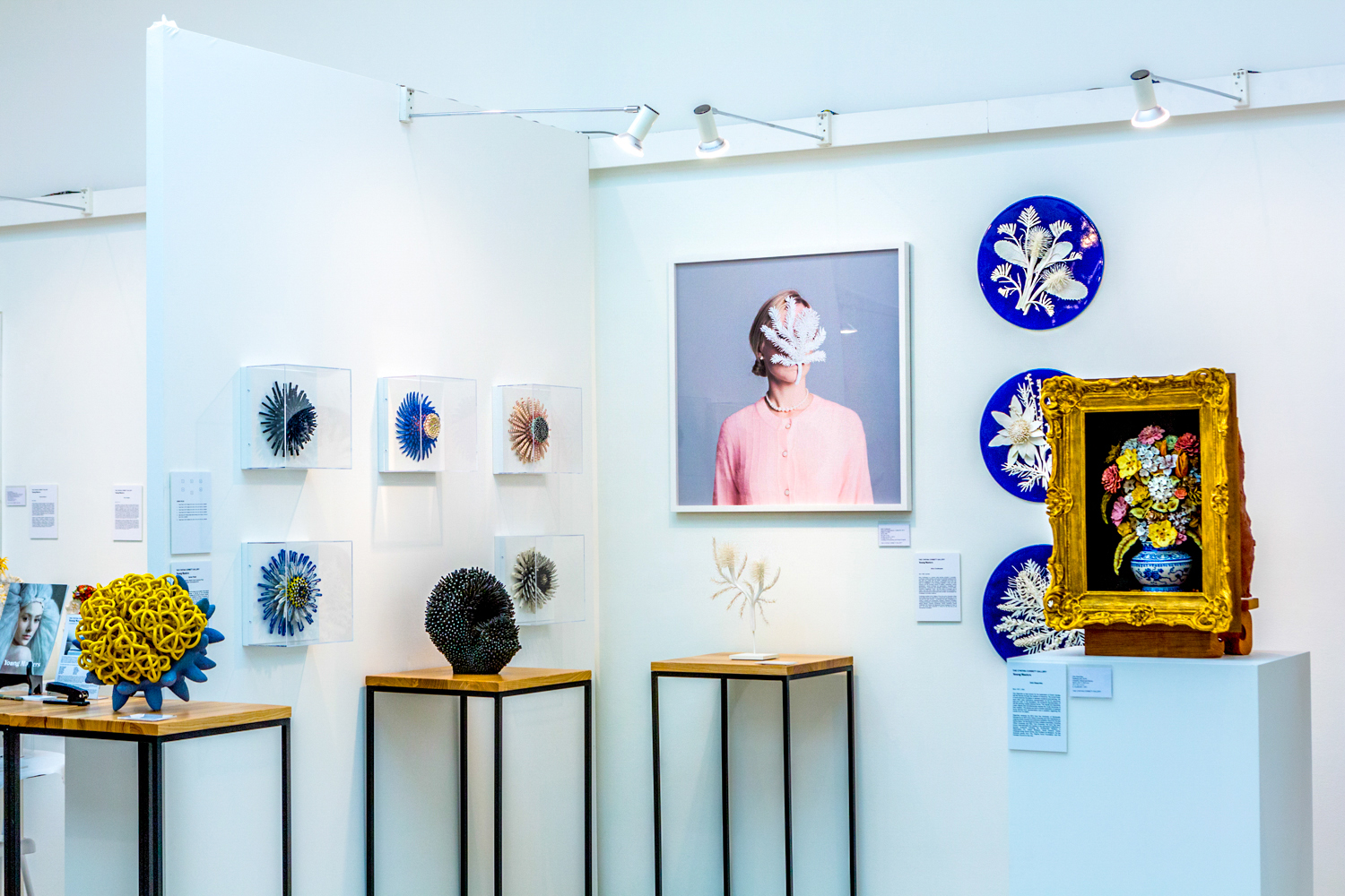 Copy of Collect18, Install, photo by Cristina Schek (273).jpg