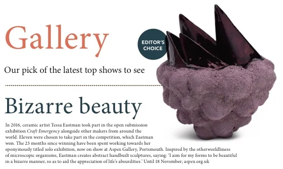 Tessa Eastman Solo Exhibition at Aspex Gallery and feature in Ceramics Review