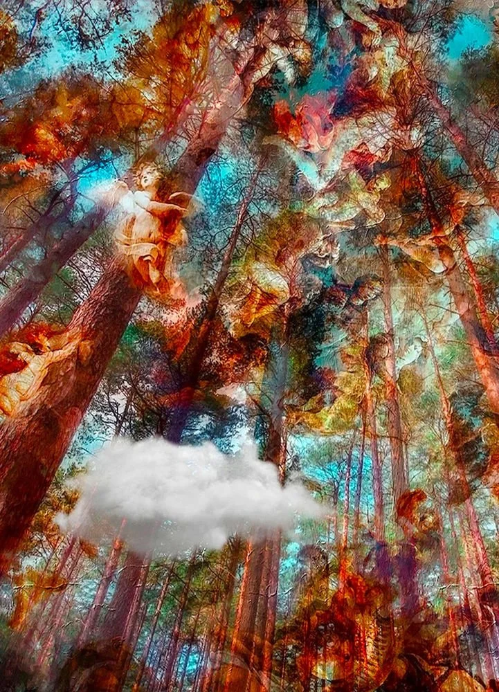 the-ceiling-in-the-sky-shutter-frame-edition-2022-2026-by-cristina-schek.jpg