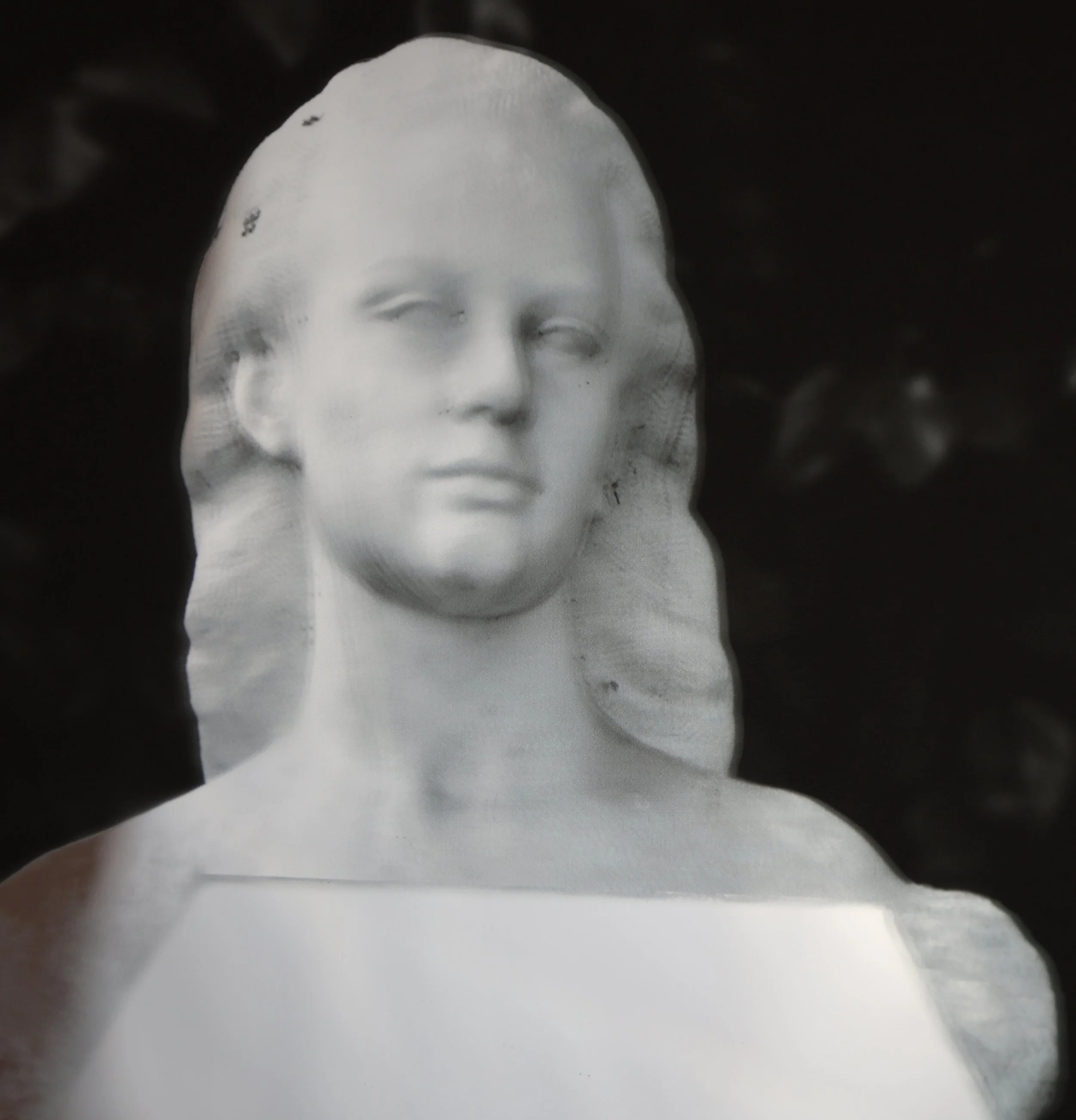 Liane Lang - LL013 - (image 2) - original.jpg