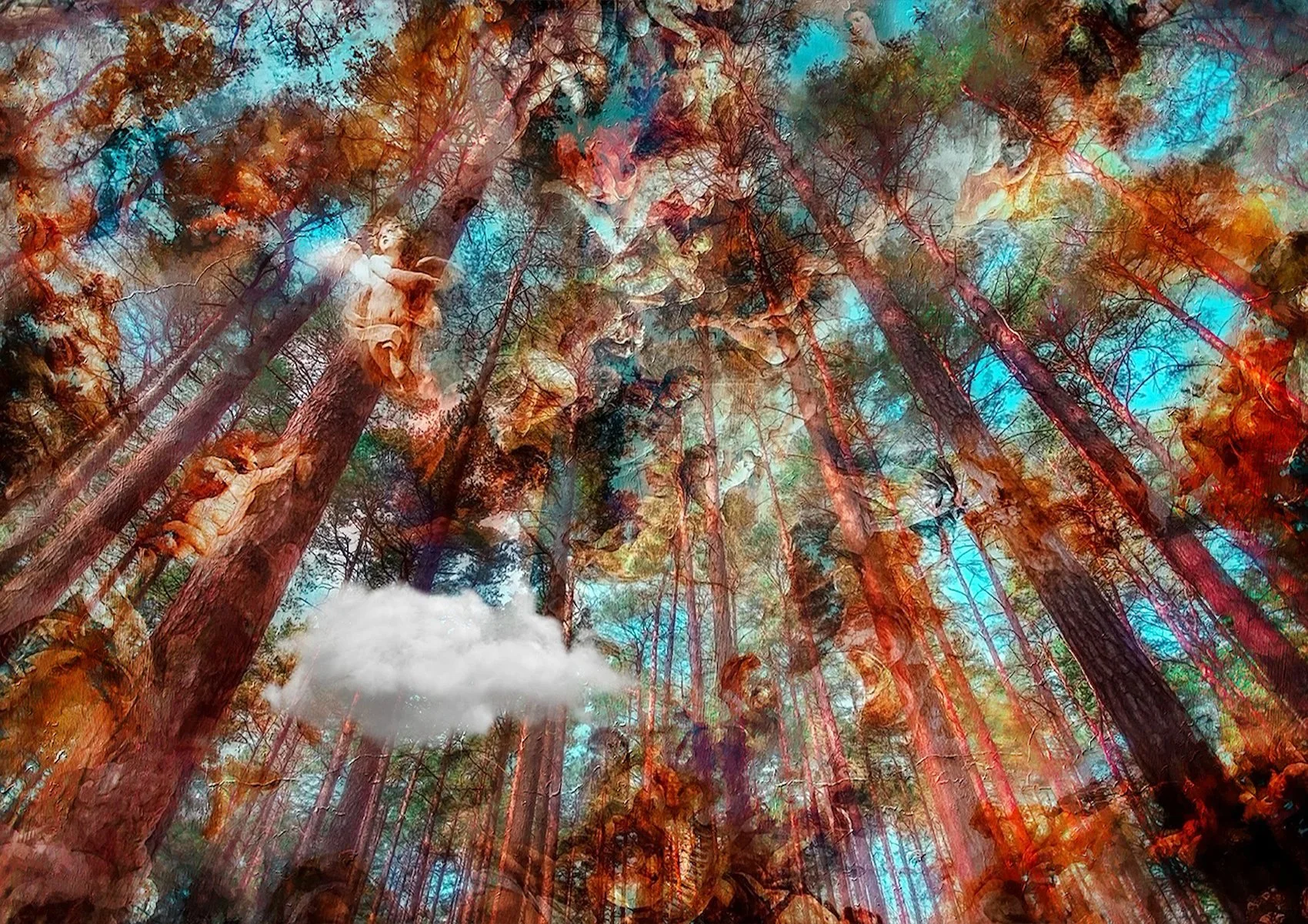 The Ceiling In The Sky by Cristina Schek.jpg