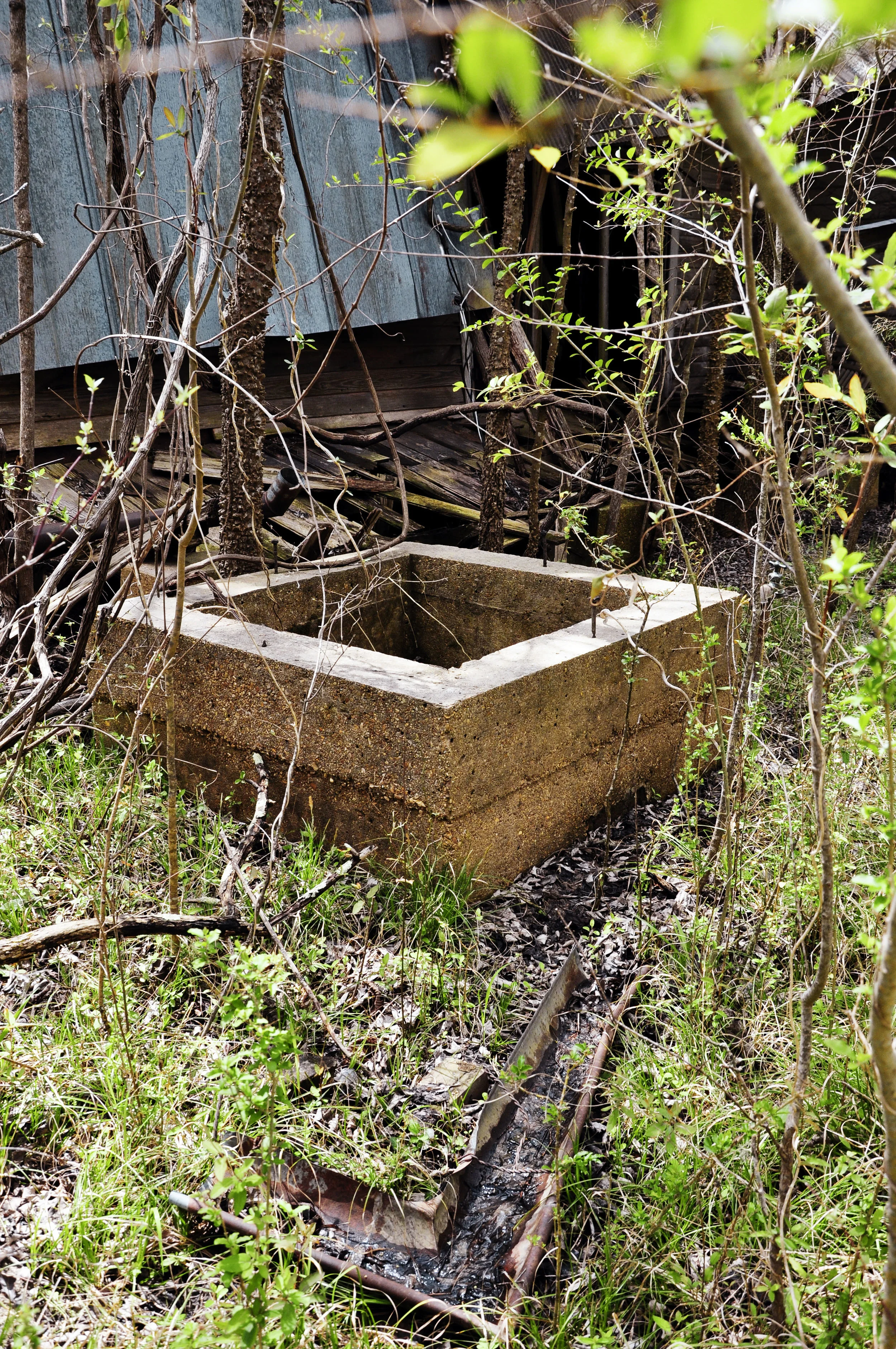 DSC_0632.jpg