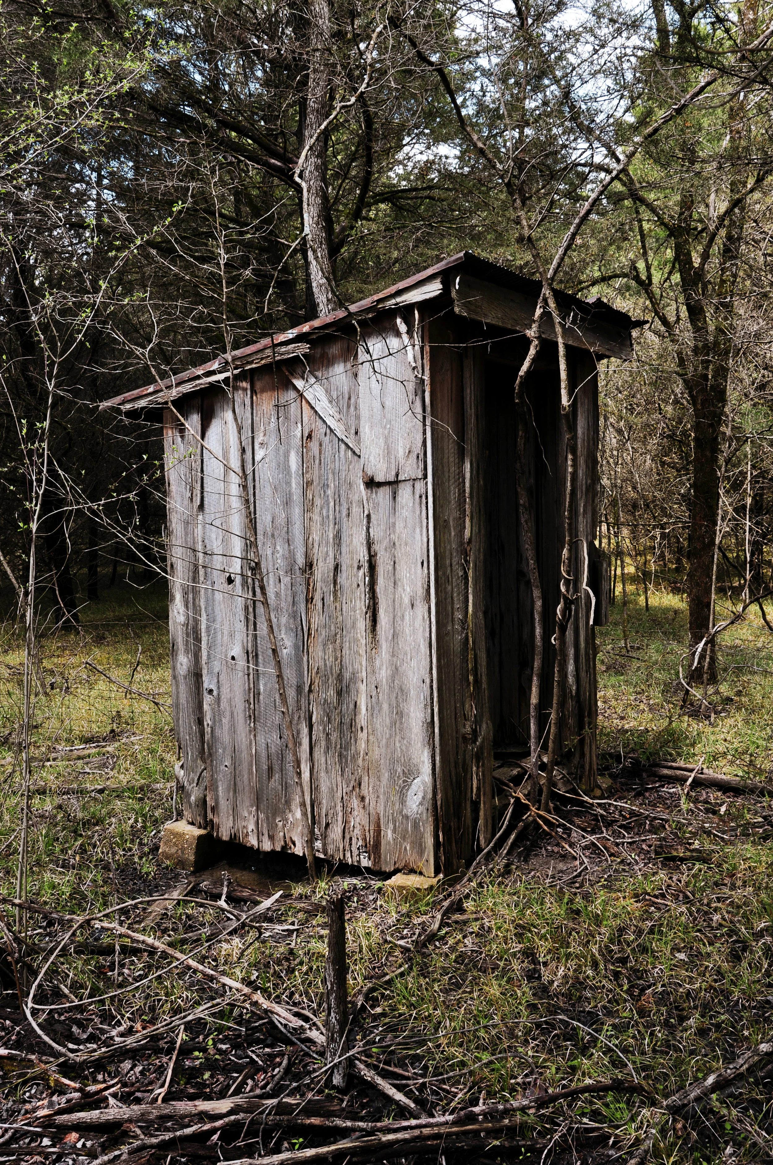 DSC_0663.jpg