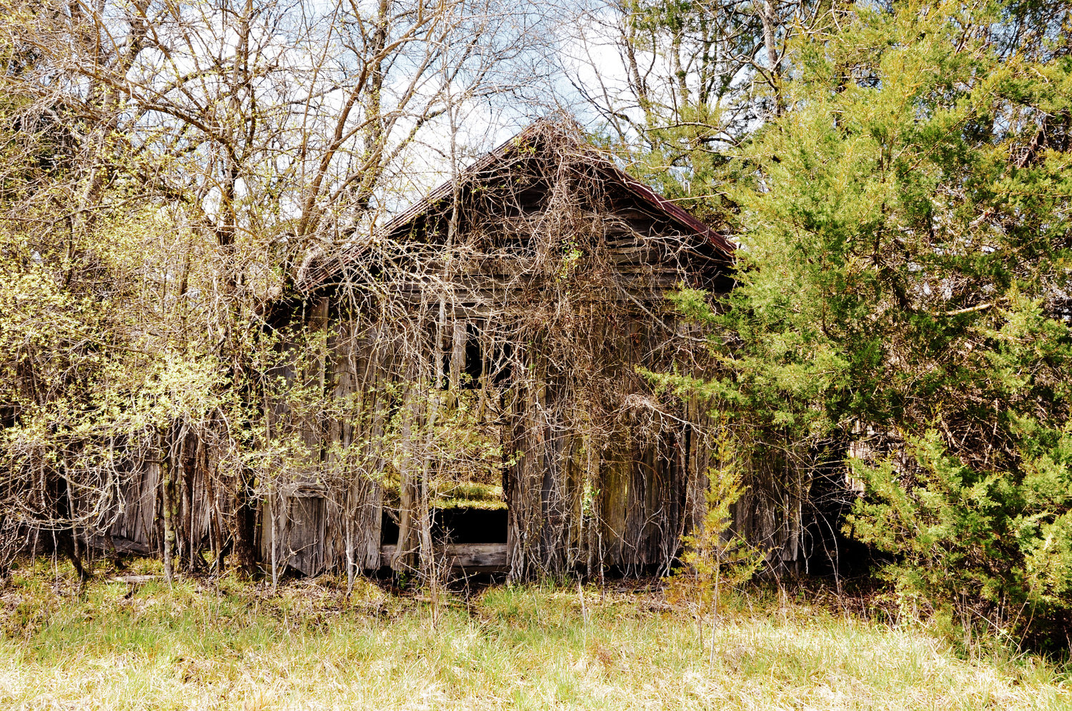 Southern Gothic or the perfect place to film a horror movie.... — Lana ...