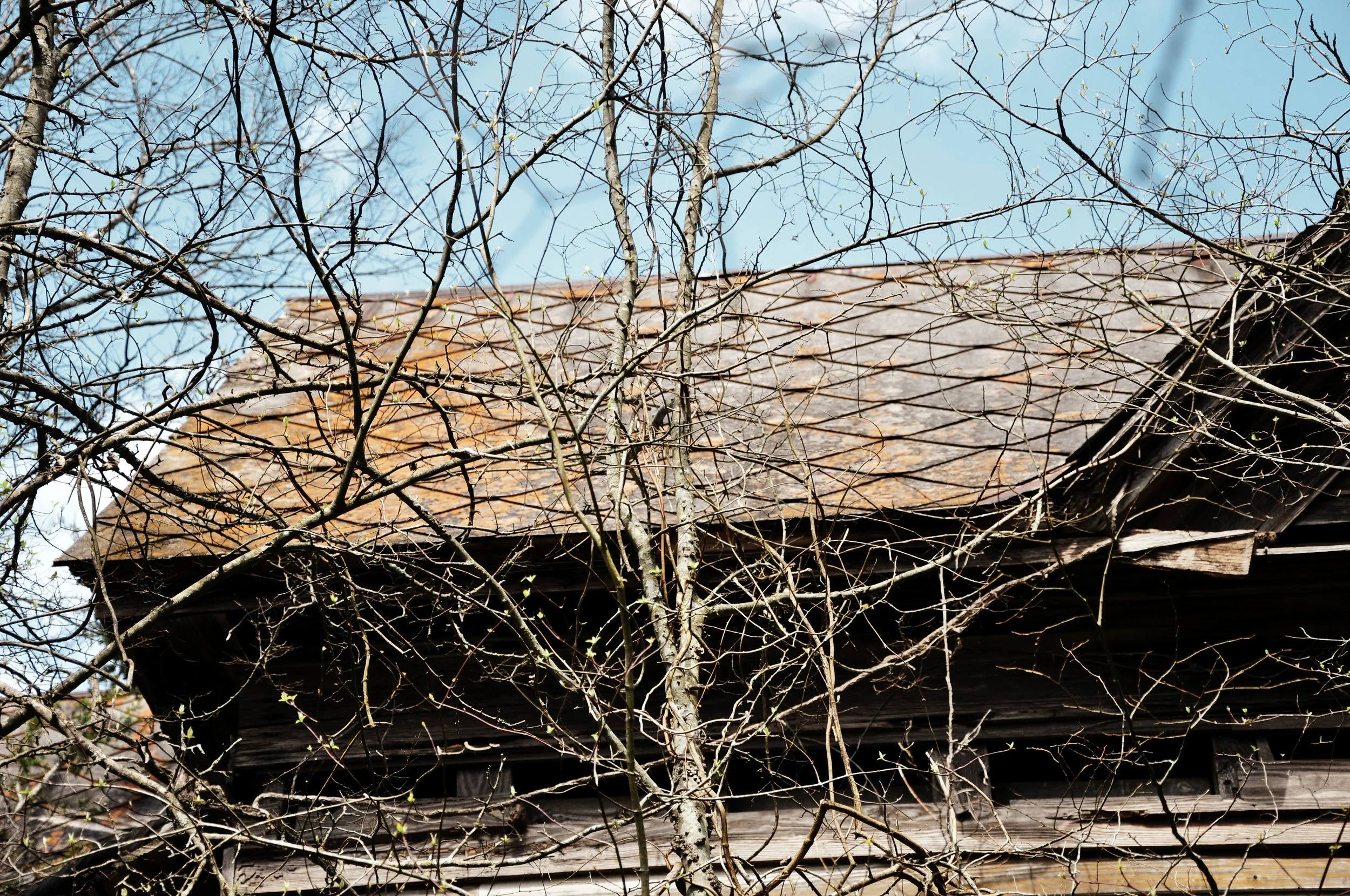 DSC_0703.jpg