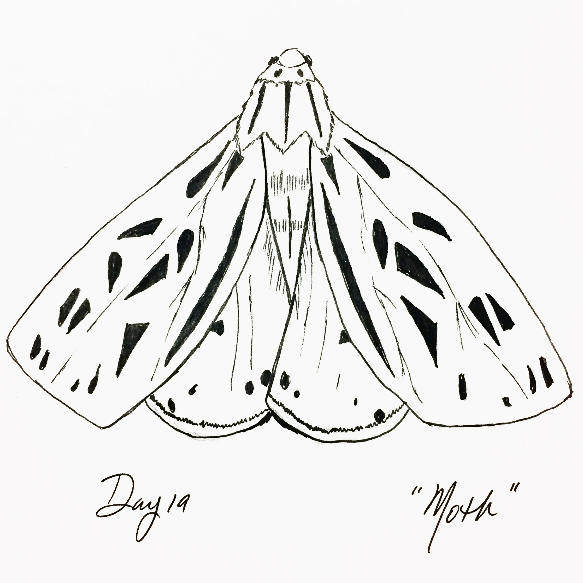 Inktober 2019 - Southern Gothic Edition Day 19