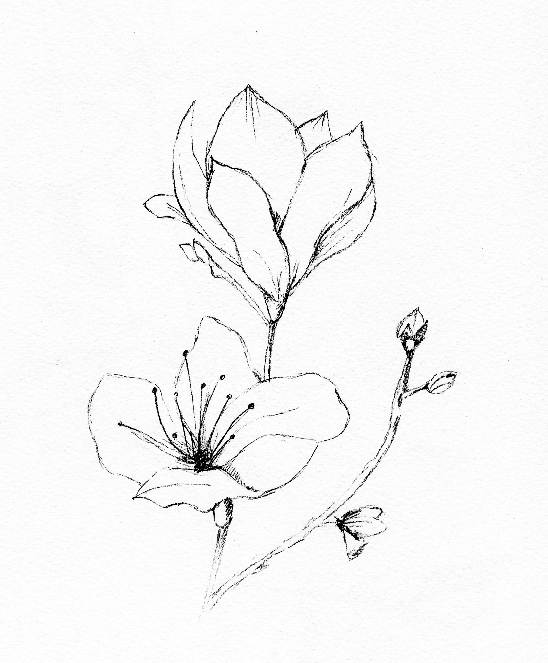 Life Currently Amidst Armageddon