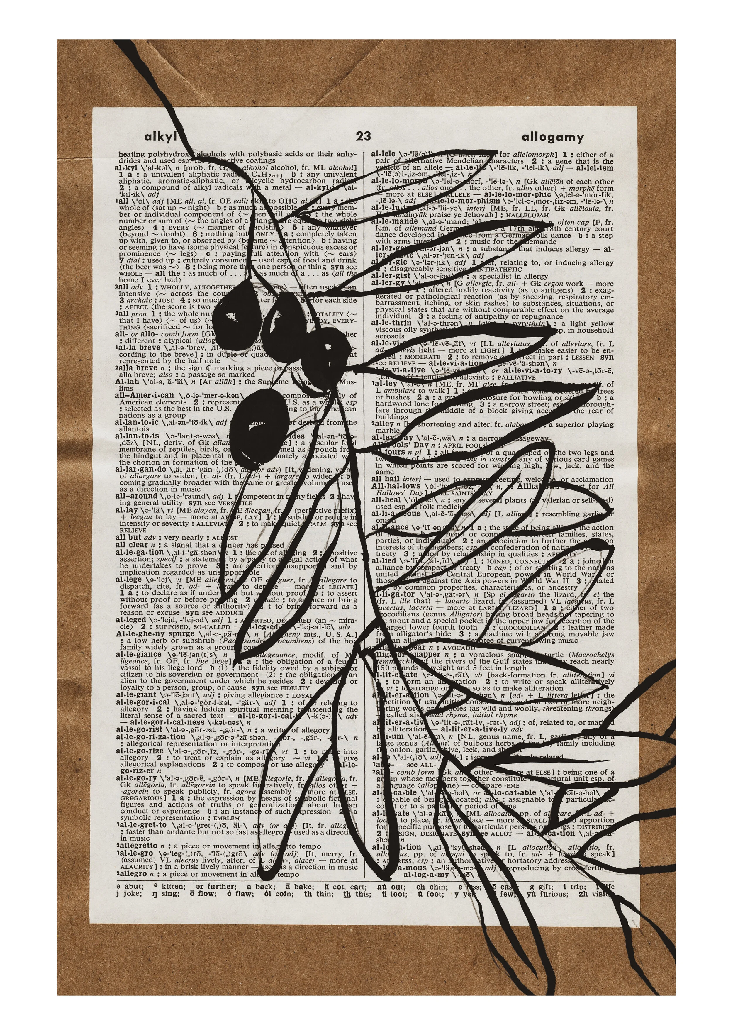 Wordless Wednesday - Unconventional Materials 