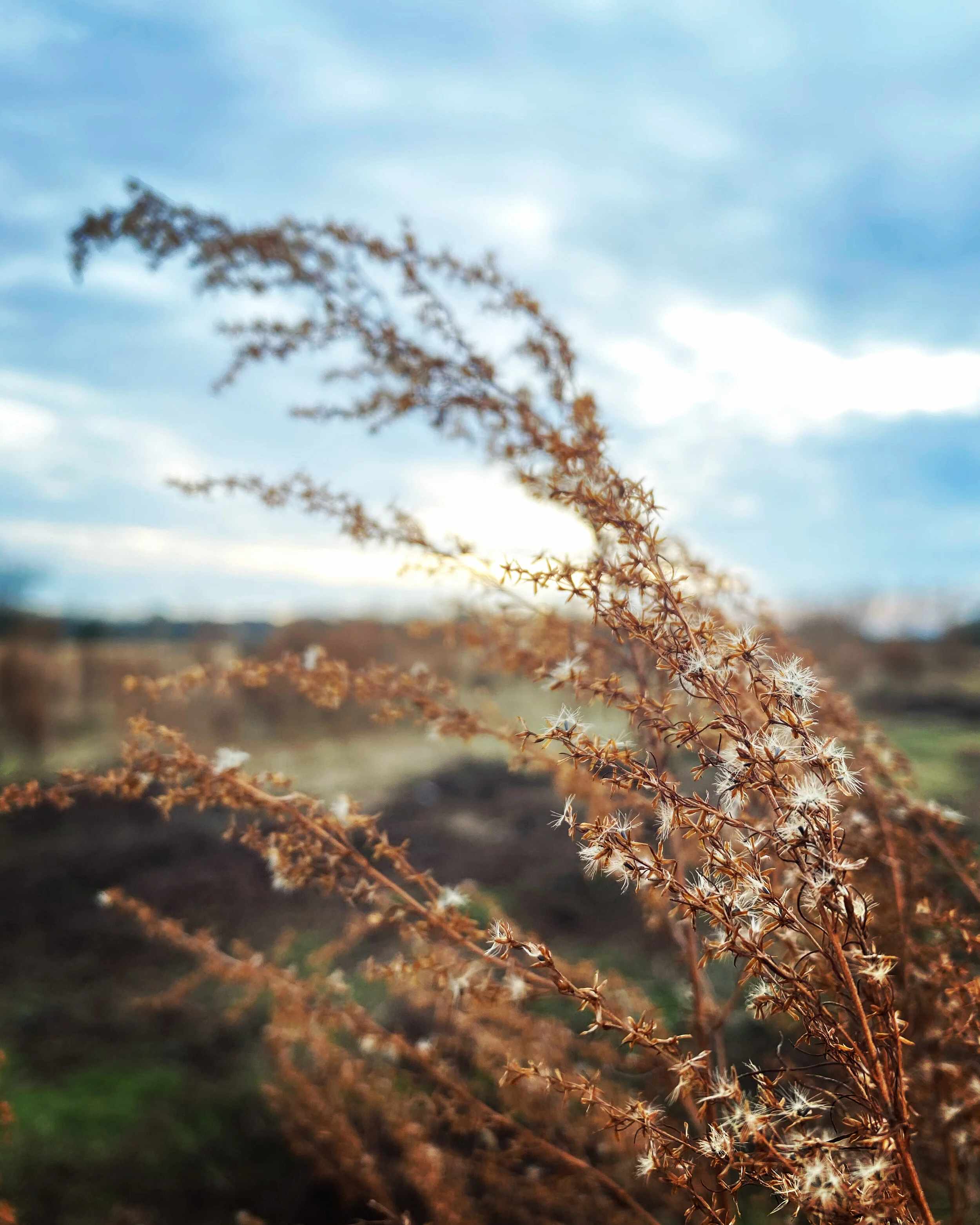 Hope Writers Challenge - Day One : New You