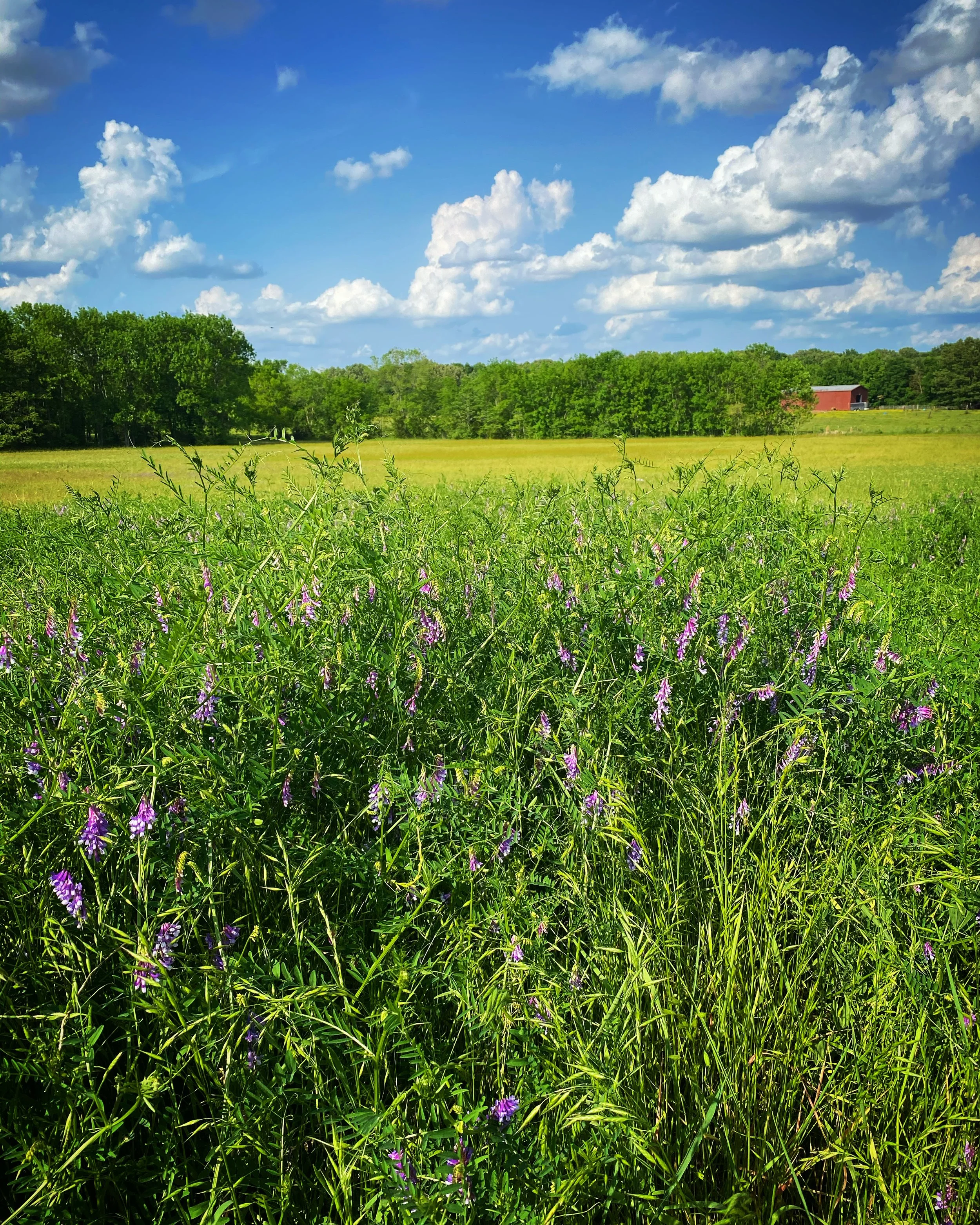 Newly Plowed Ground...