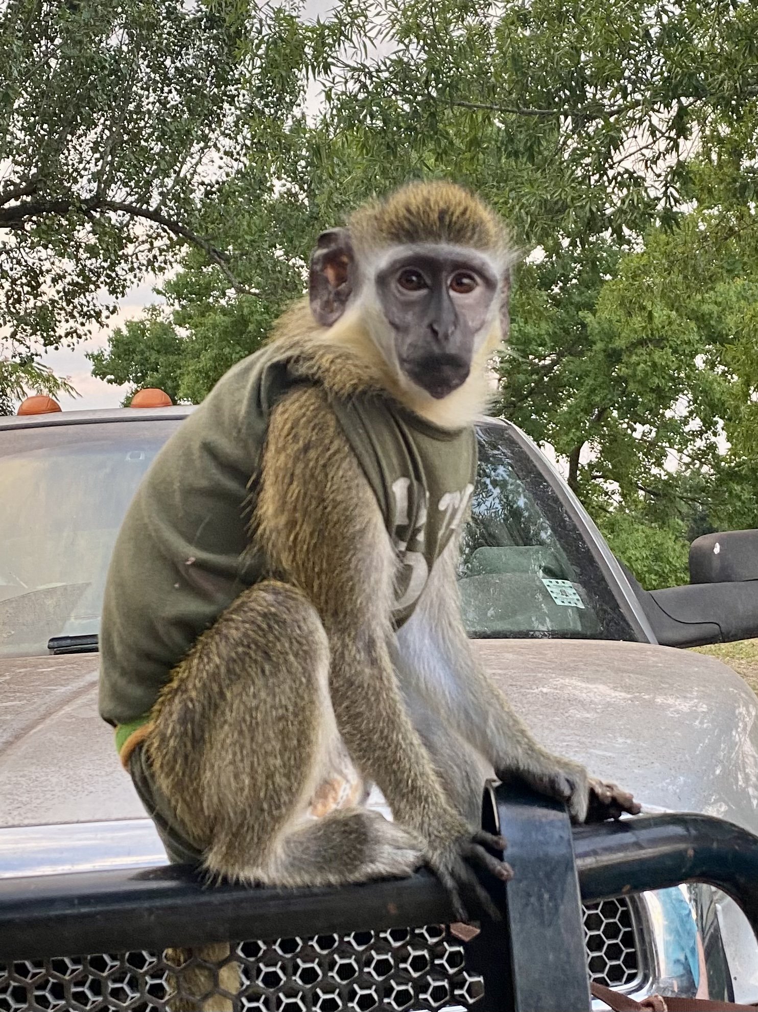 And now for a week of stupid...