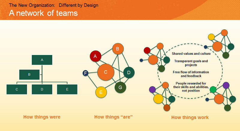 Figure: The New Organization: A Network of Teams (Deloitte, 2016)