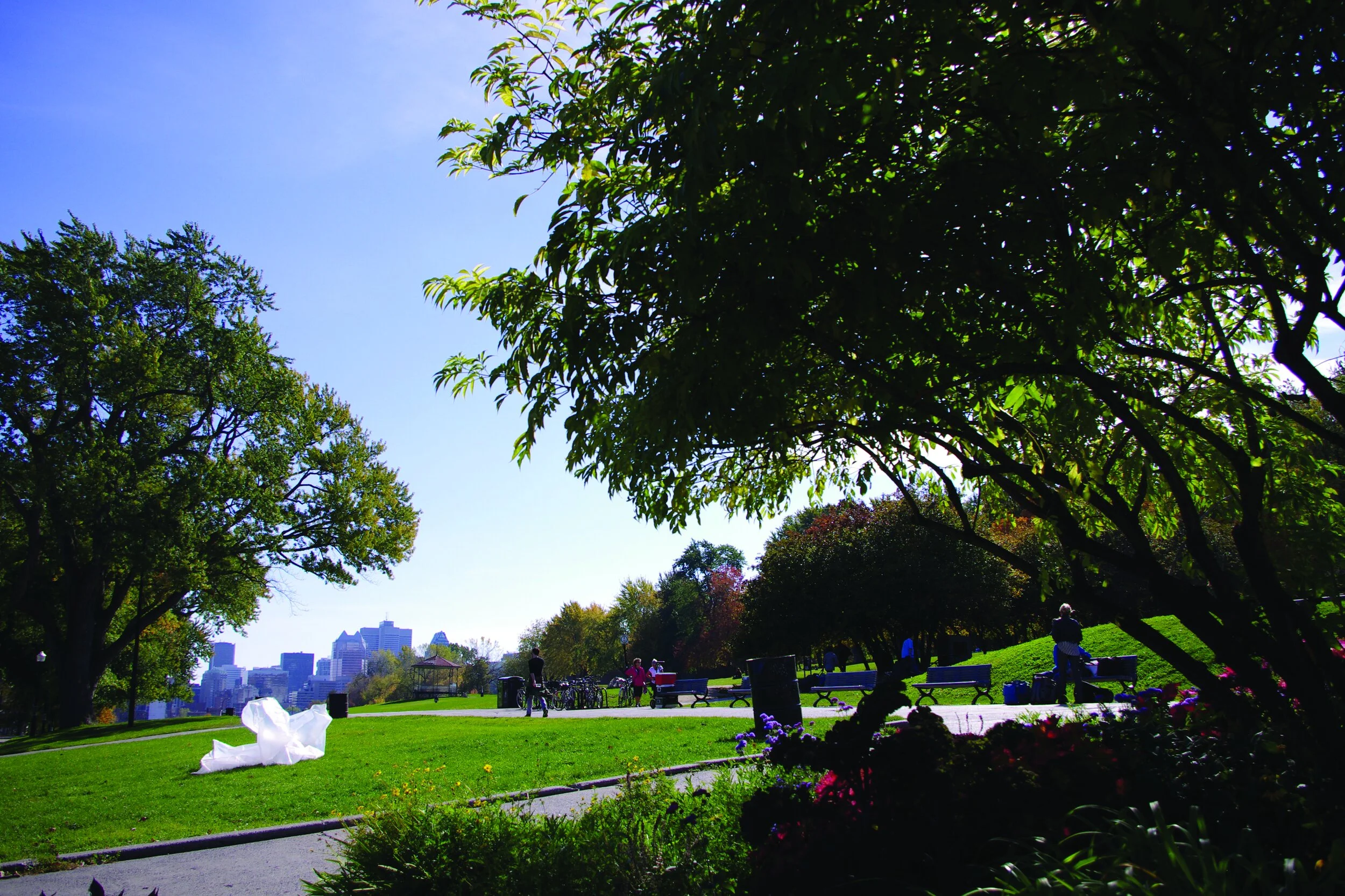 The Dichotomy of Ephemeral Plastic_1.JPG