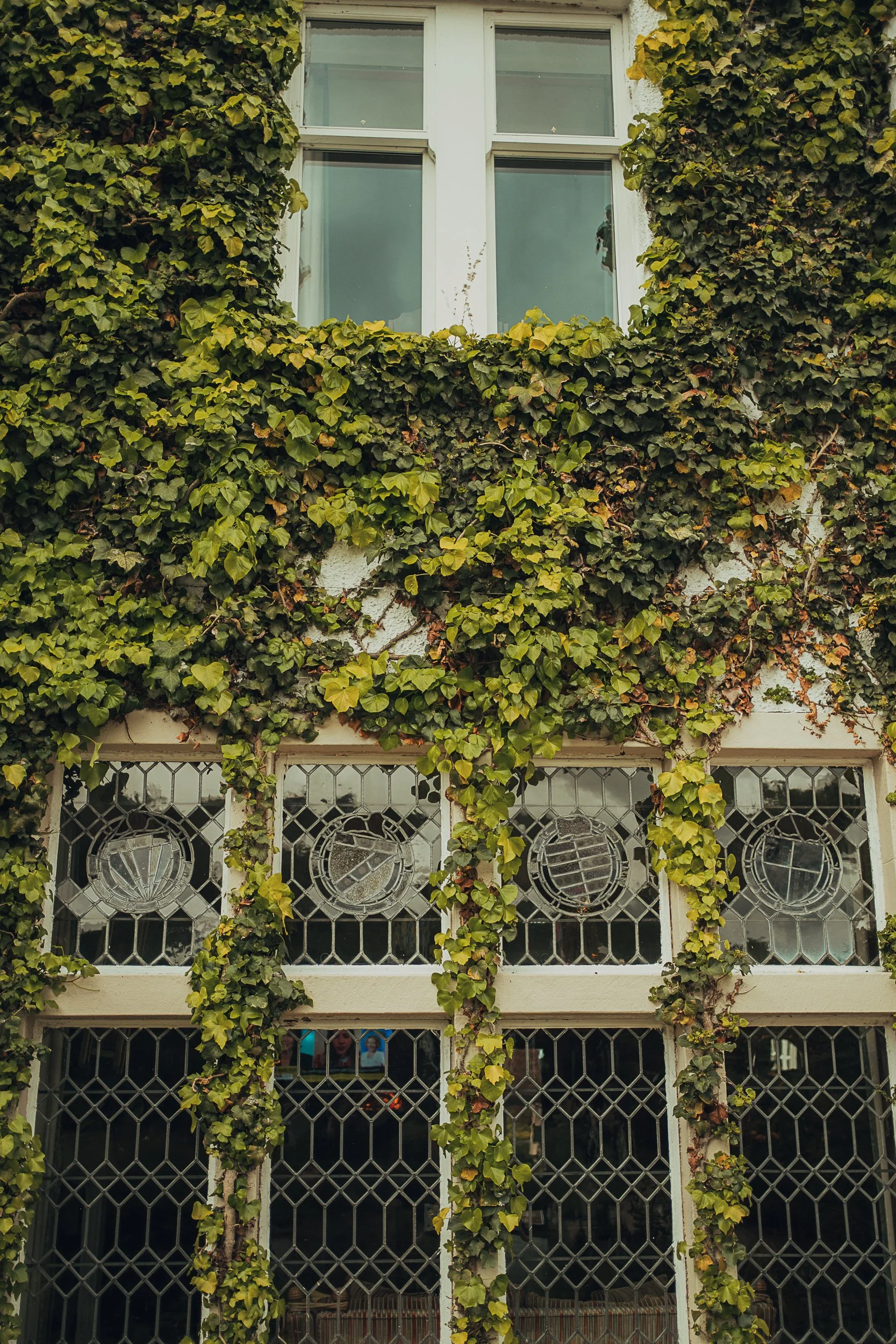 lochgreen-house-hotel-greenery-walls.jpg