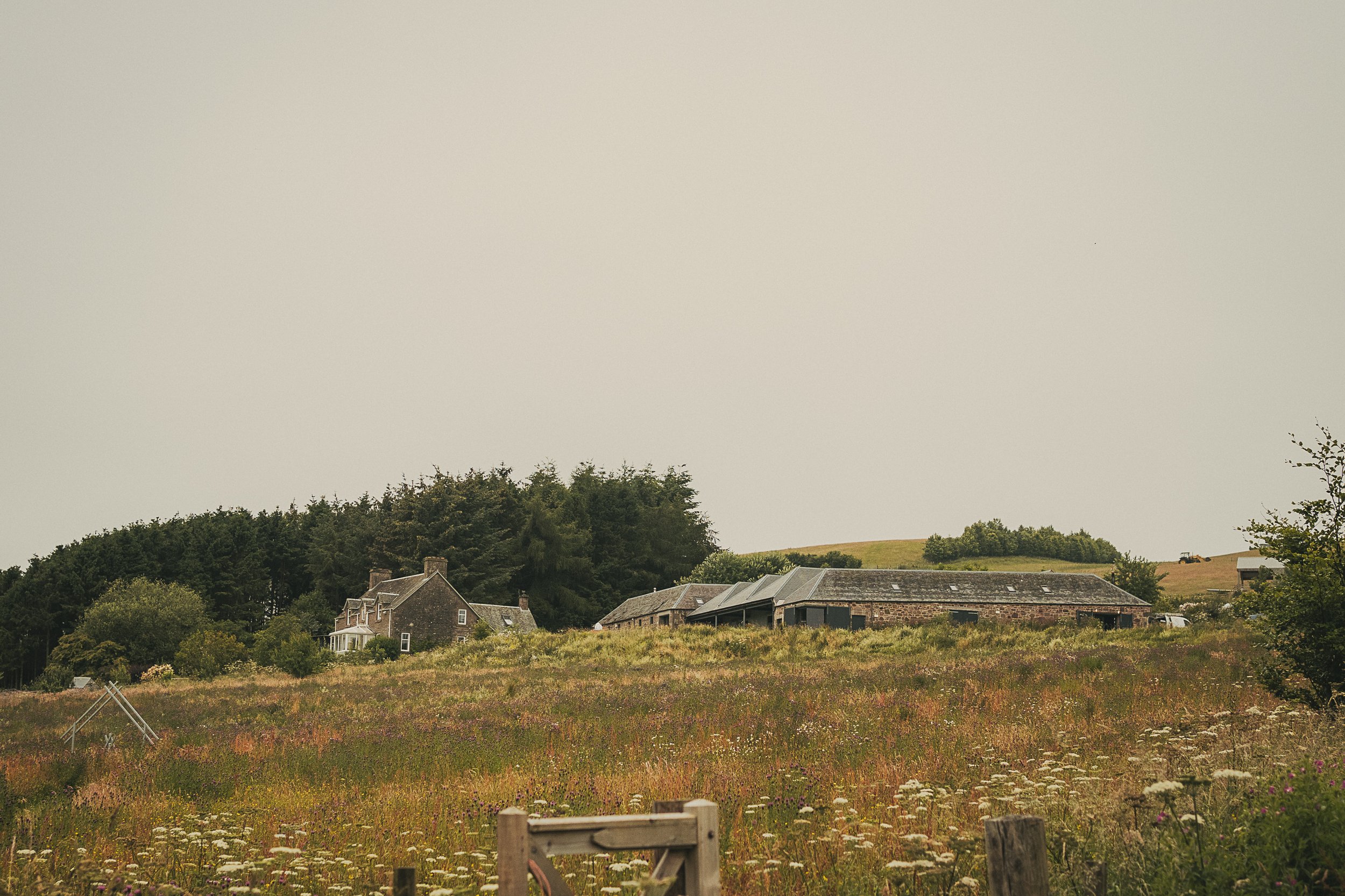 guardswell-farm-wildflower-meadow-wedding-venue-perthshire.jpg