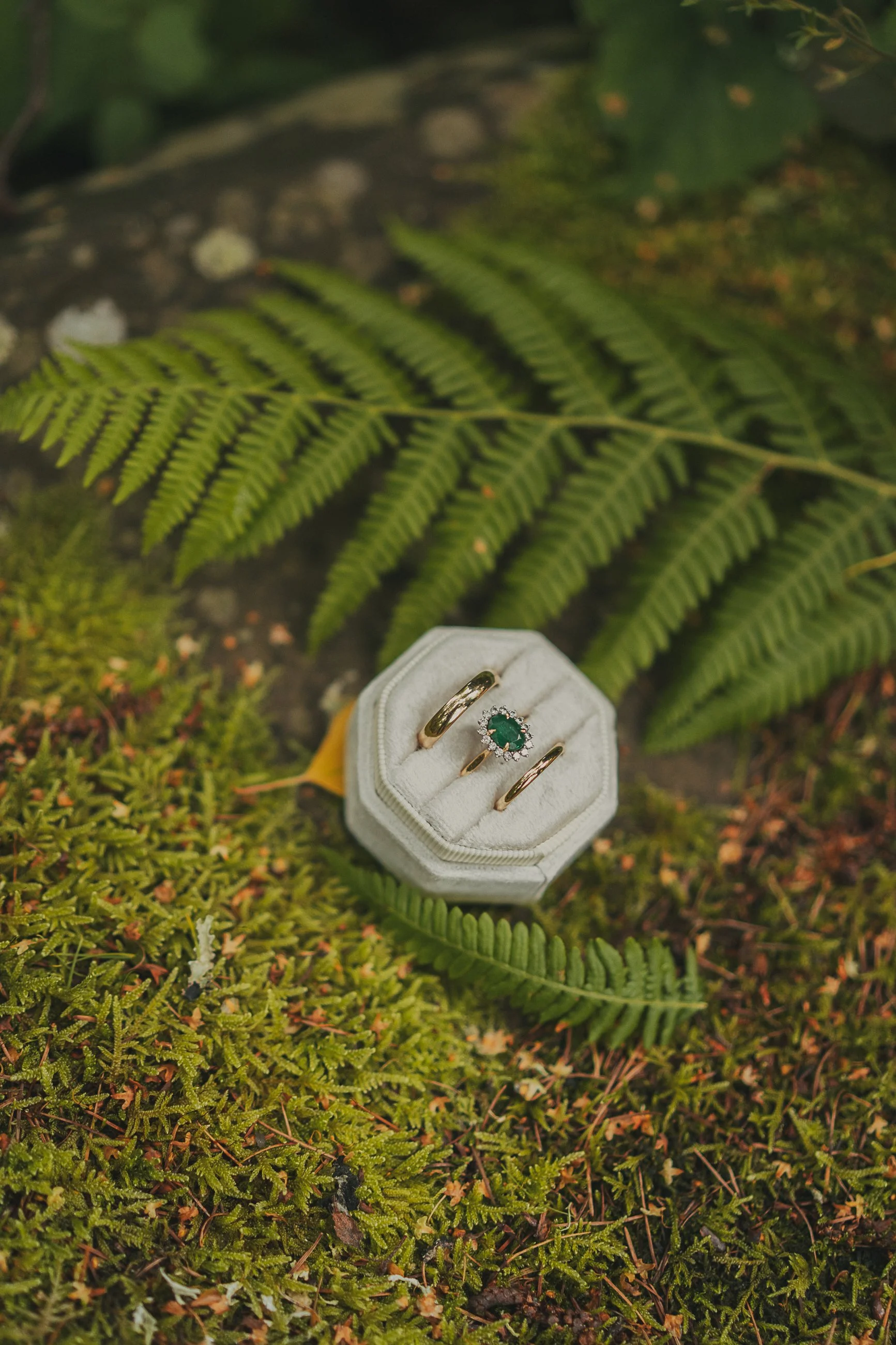 becca-joe-wedding-rings-moss-fern-drumnadrochit.jpg