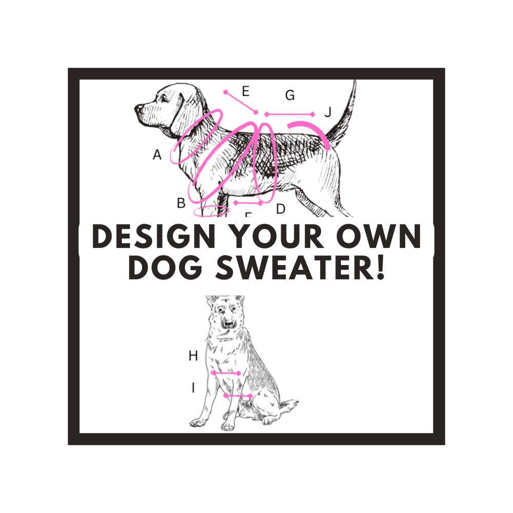 Design Your Own Dog Sweater - 4 Sessions