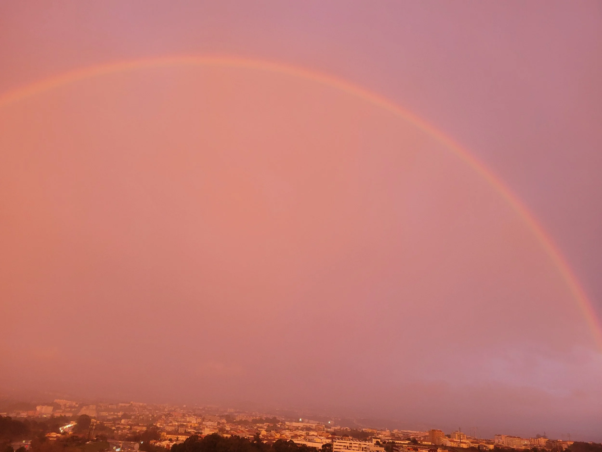 20260205_175145.jpg