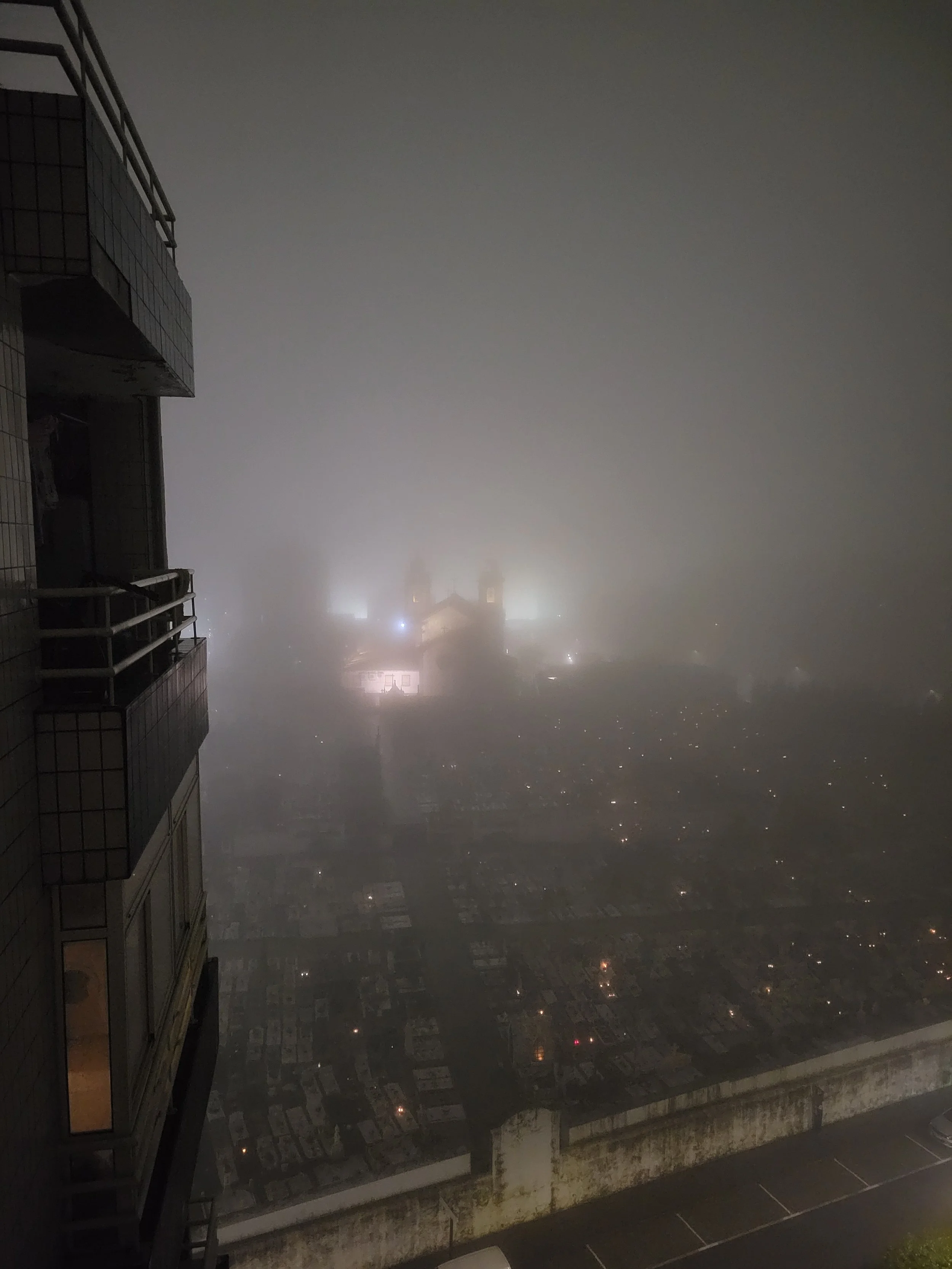 20260209_221133.jpg