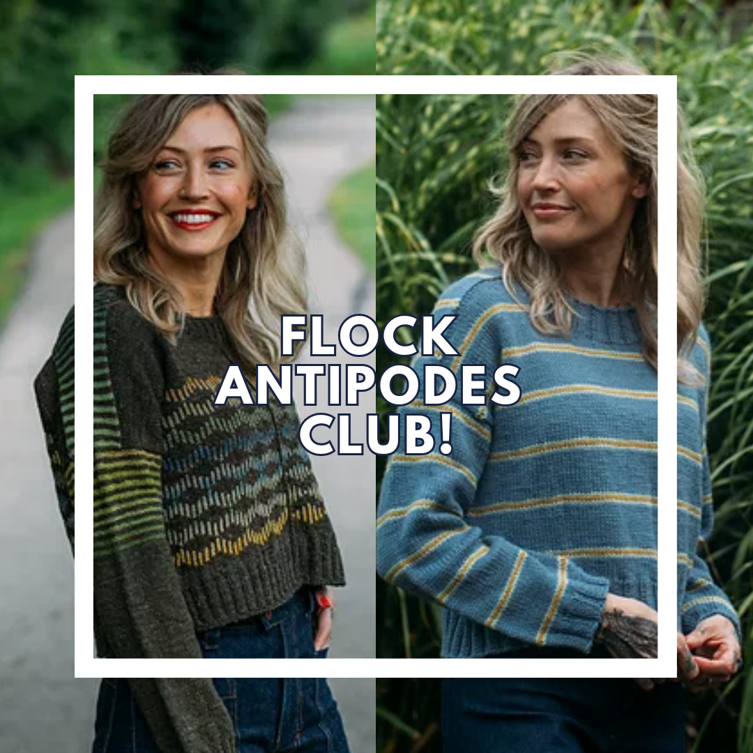 Flock Andipodes Club! - 6 Sessions