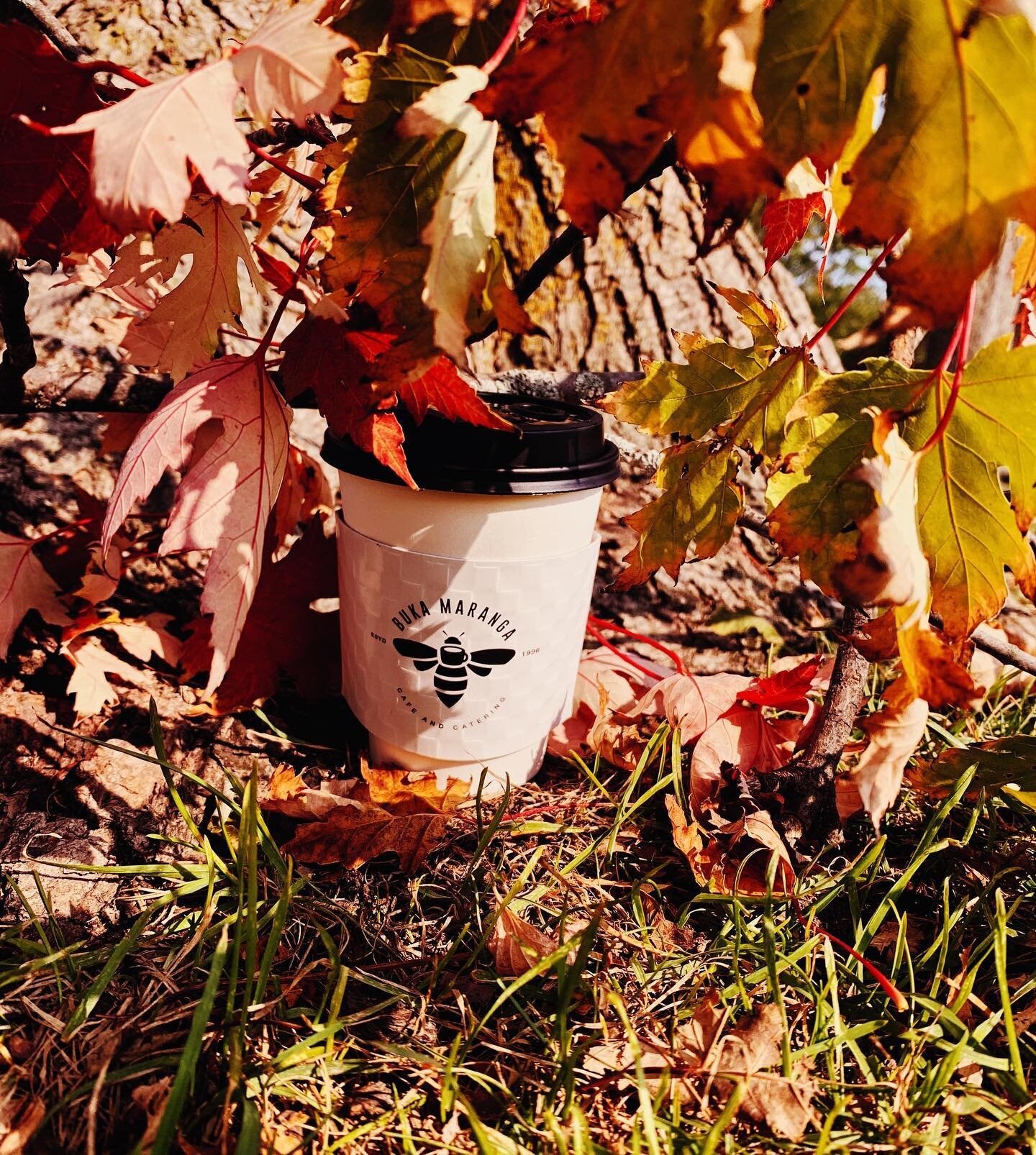 You know what season it is 👀

Did you even drink a PSL if you didn&rsquo;t take a cute autumn photo of it? 🫢

We didn&rsquo;t think so either😉

Send us your PSL pictures or tag us in them- we would love to see all your cute little PSLs in the wild