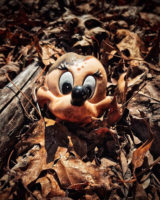 Toy graveyard in Kentucky forest. #toys #forest #sad #smile #iphoneonly #snapseed