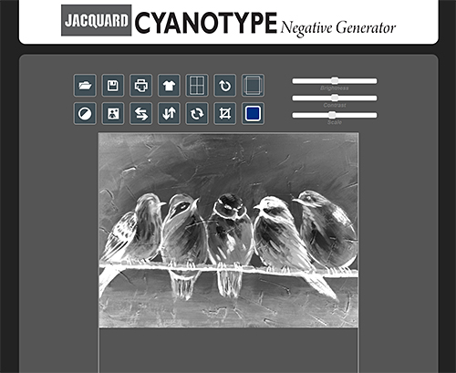 cyanotype-site.jpg