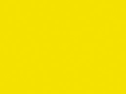 004 Lemon Yellow