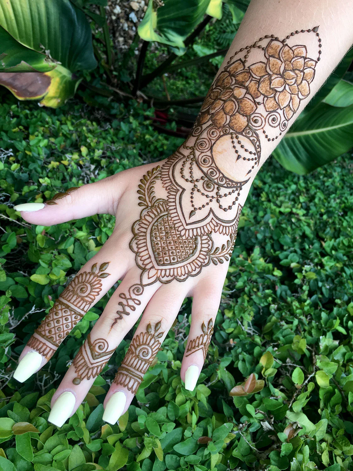 Jacquard Products \u2014 Mehndi Henna Kit