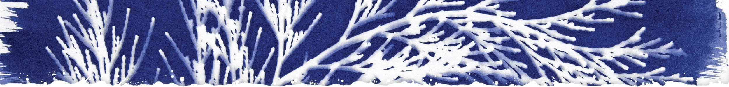 cyanotype-header.jpg