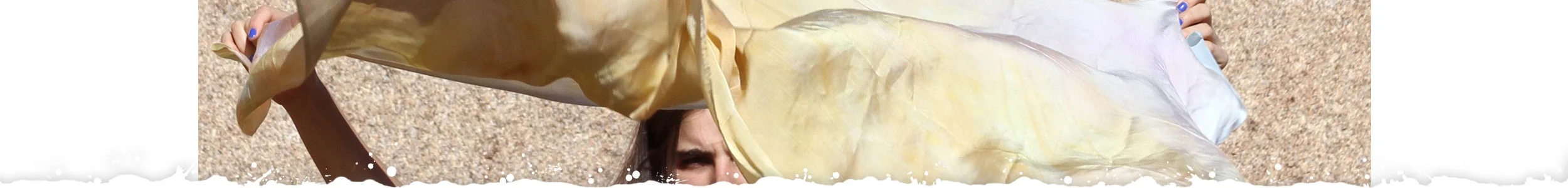 elizabeth-jaeger-header.jpg