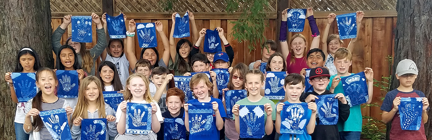 Gallery of Cyanotype Zendoodling artwork from student projects