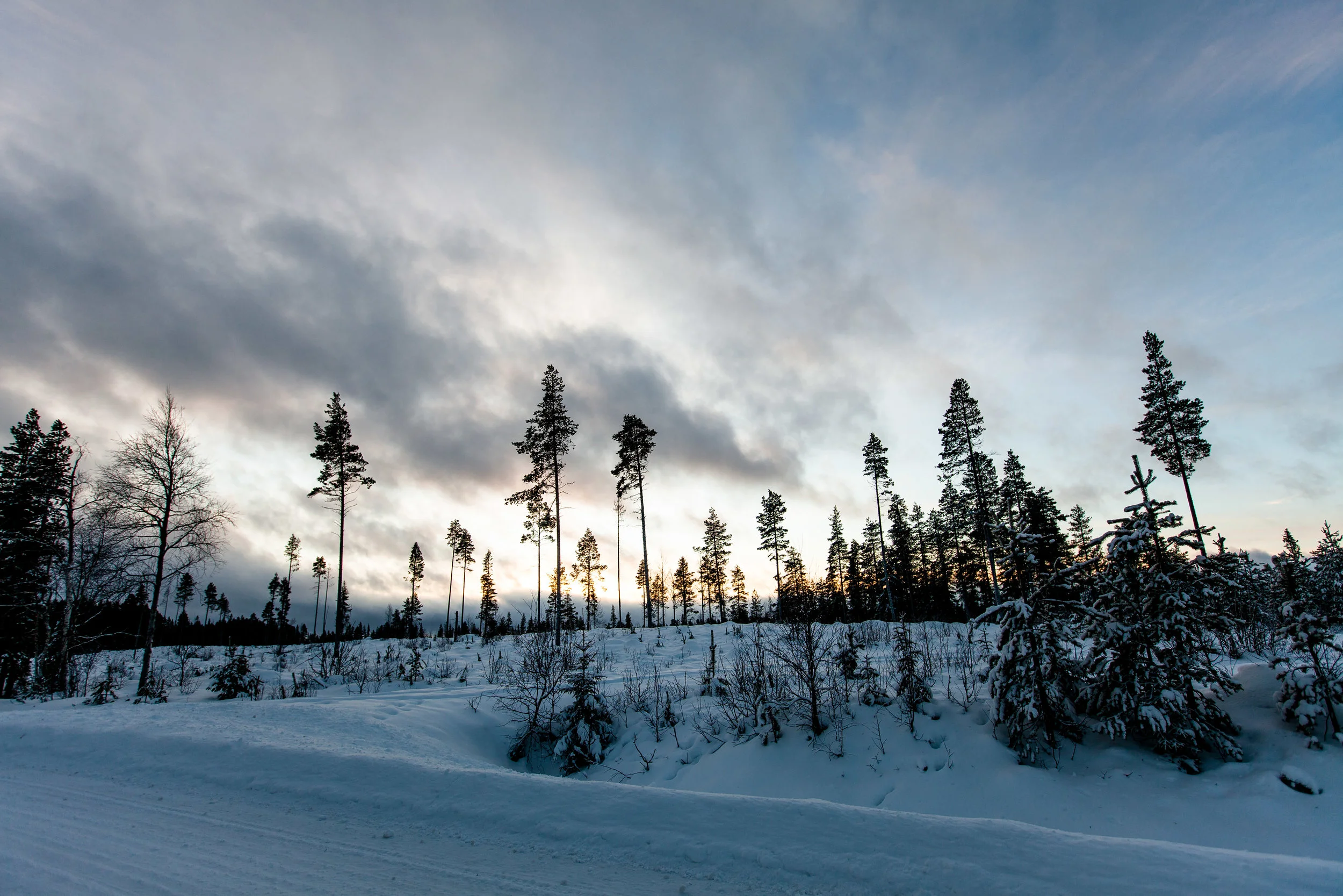 Finland_North_2-5.jpg
