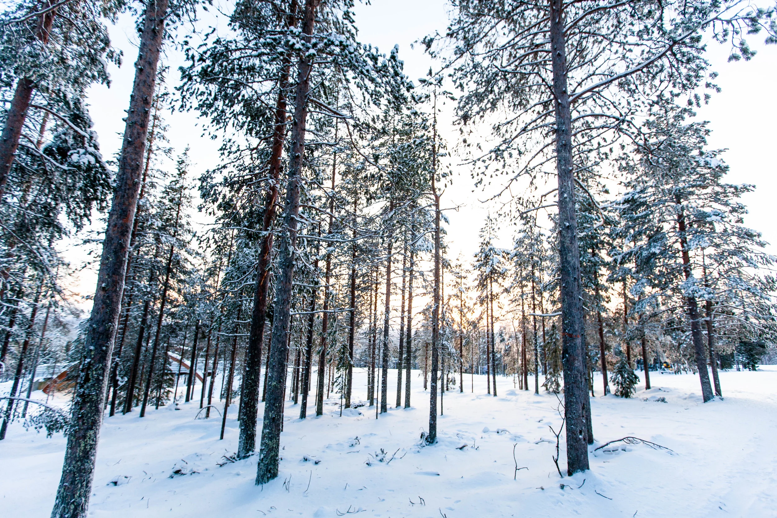 Finland_North_2-6.jpg
