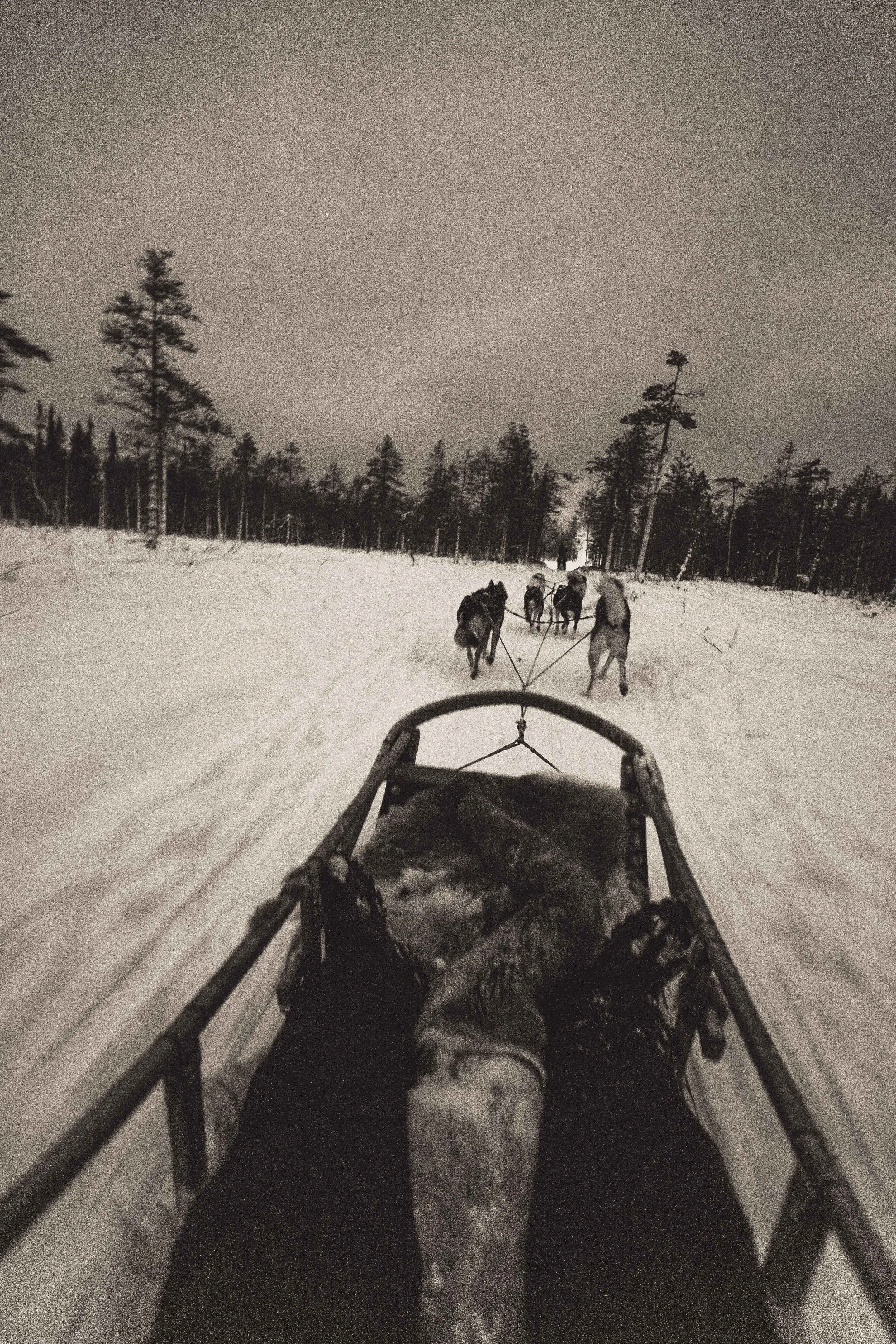 Finland_North-9.jpg