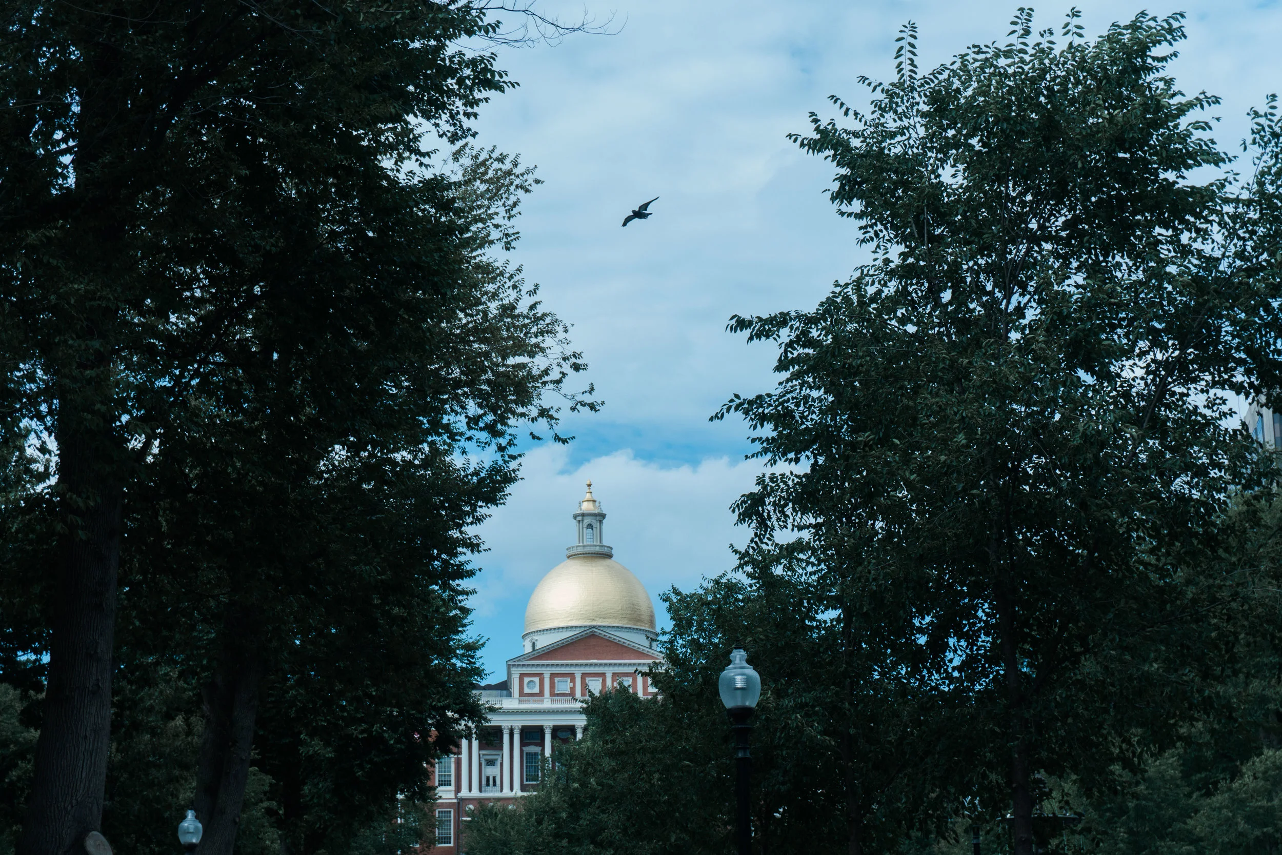 excellent boston photos by Stefan Ludwig Photography in Buffalo NY-15.jpg