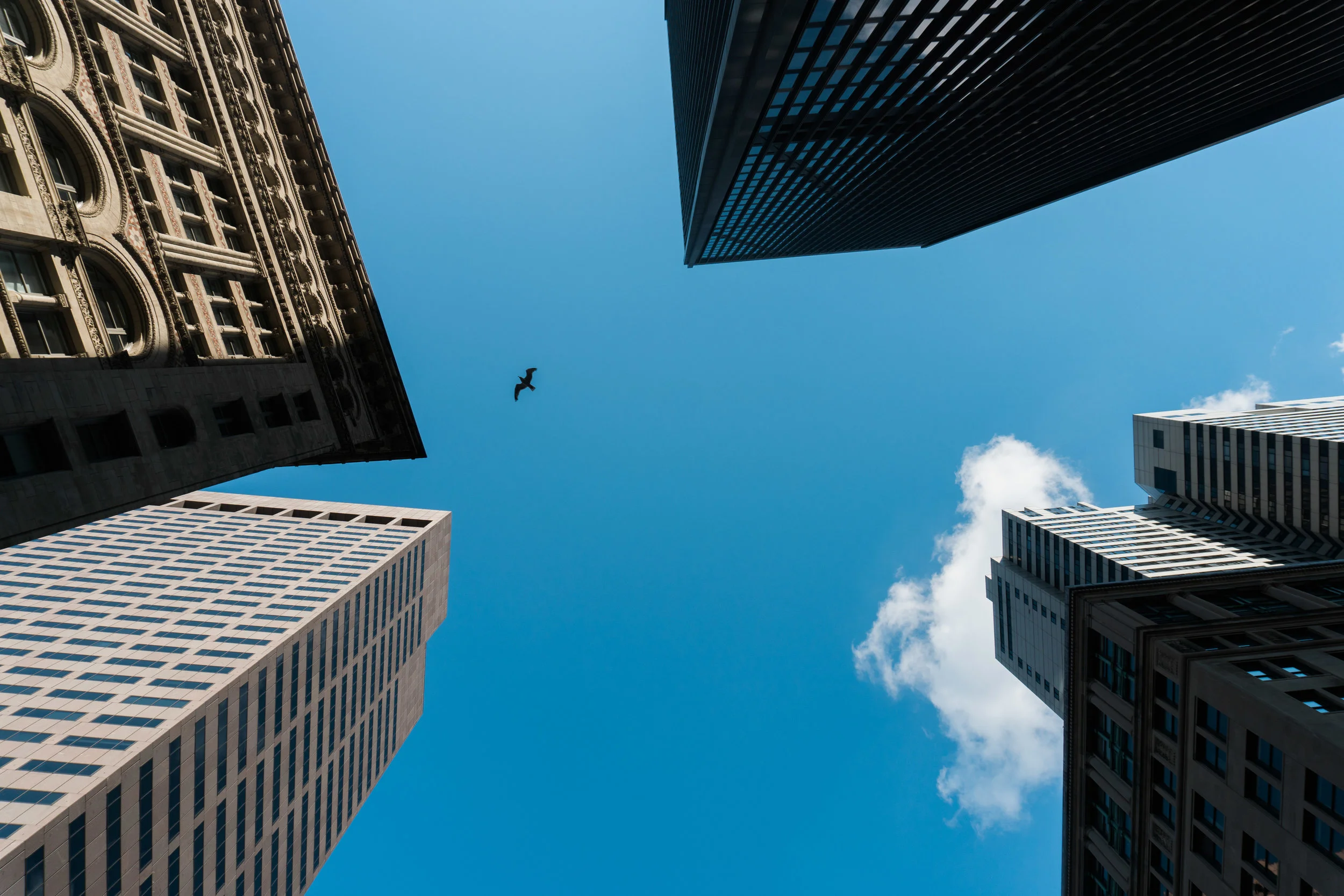 excellent boston photos by Stefan Ludwig Photography in Buffalo NY-22.jpg
