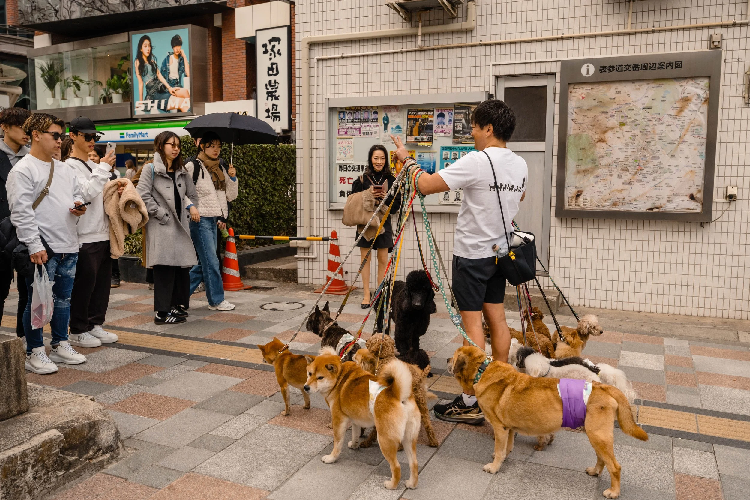 Japan 2024 the highlights-22.jpg