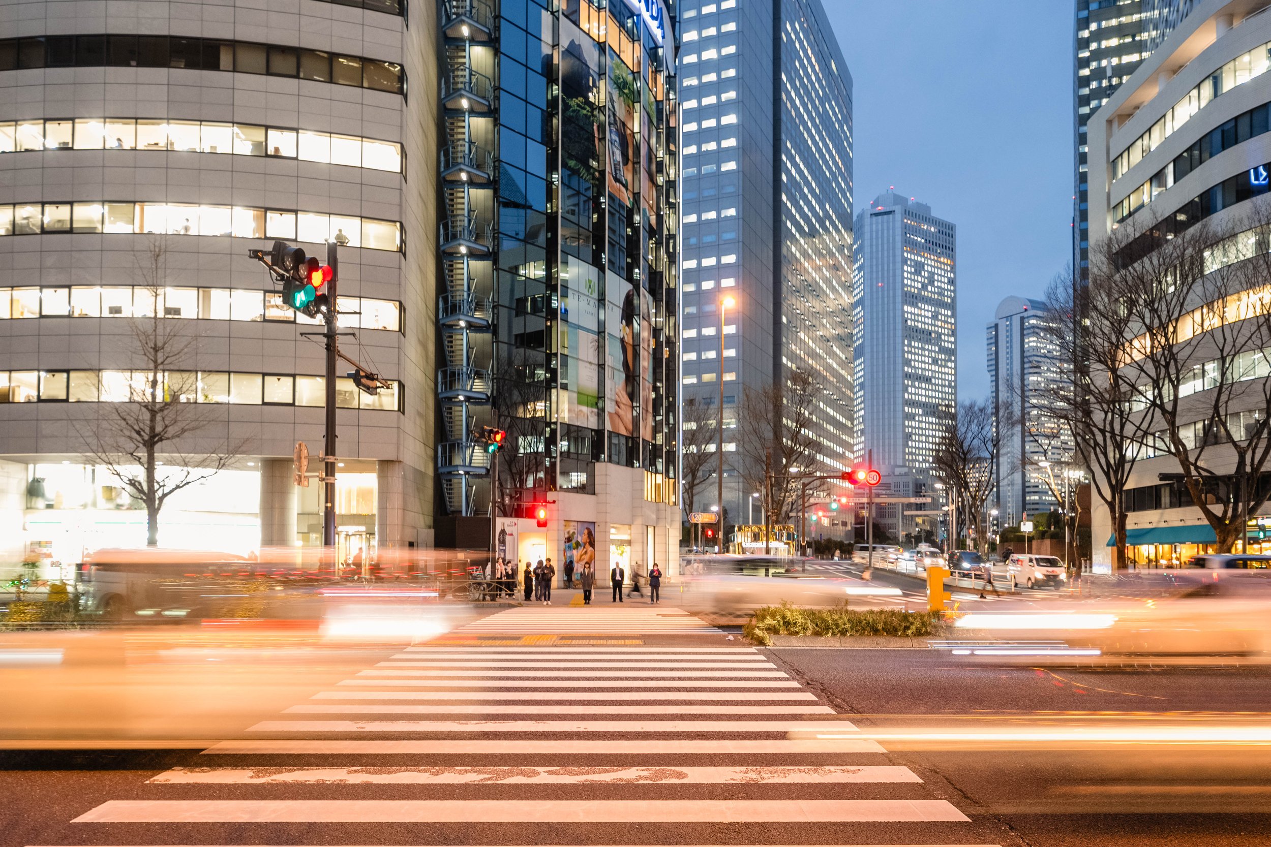 Japan 2024 the highlights-33.jpg