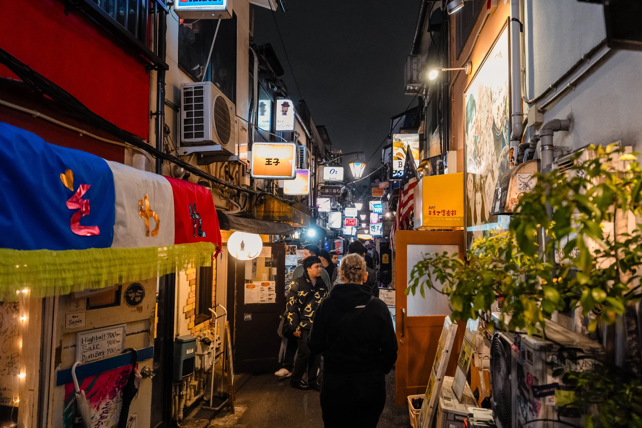 Japan 2024 the highlights-61.jpg