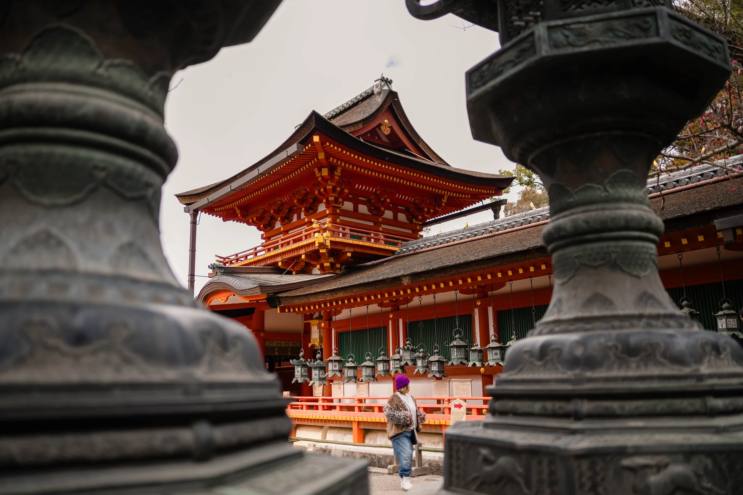 Japan 2024 the highlights-132.jpg