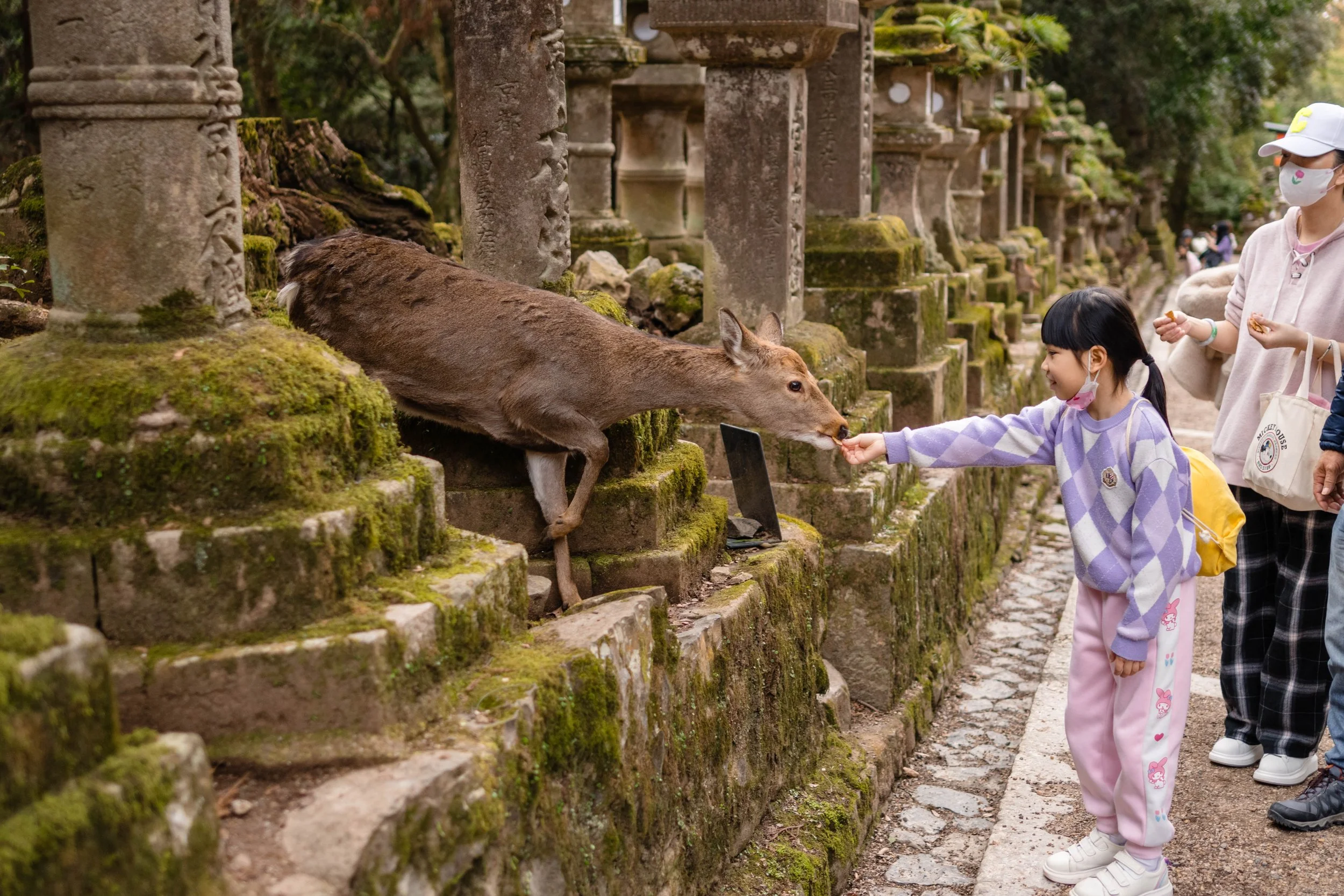 Japan 2024 the highlights-135.jpg